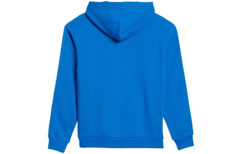 adidas adidas Orignals X Mark Gonzales Shmoofoil Hoodies 'Blue' HK9866 outlook