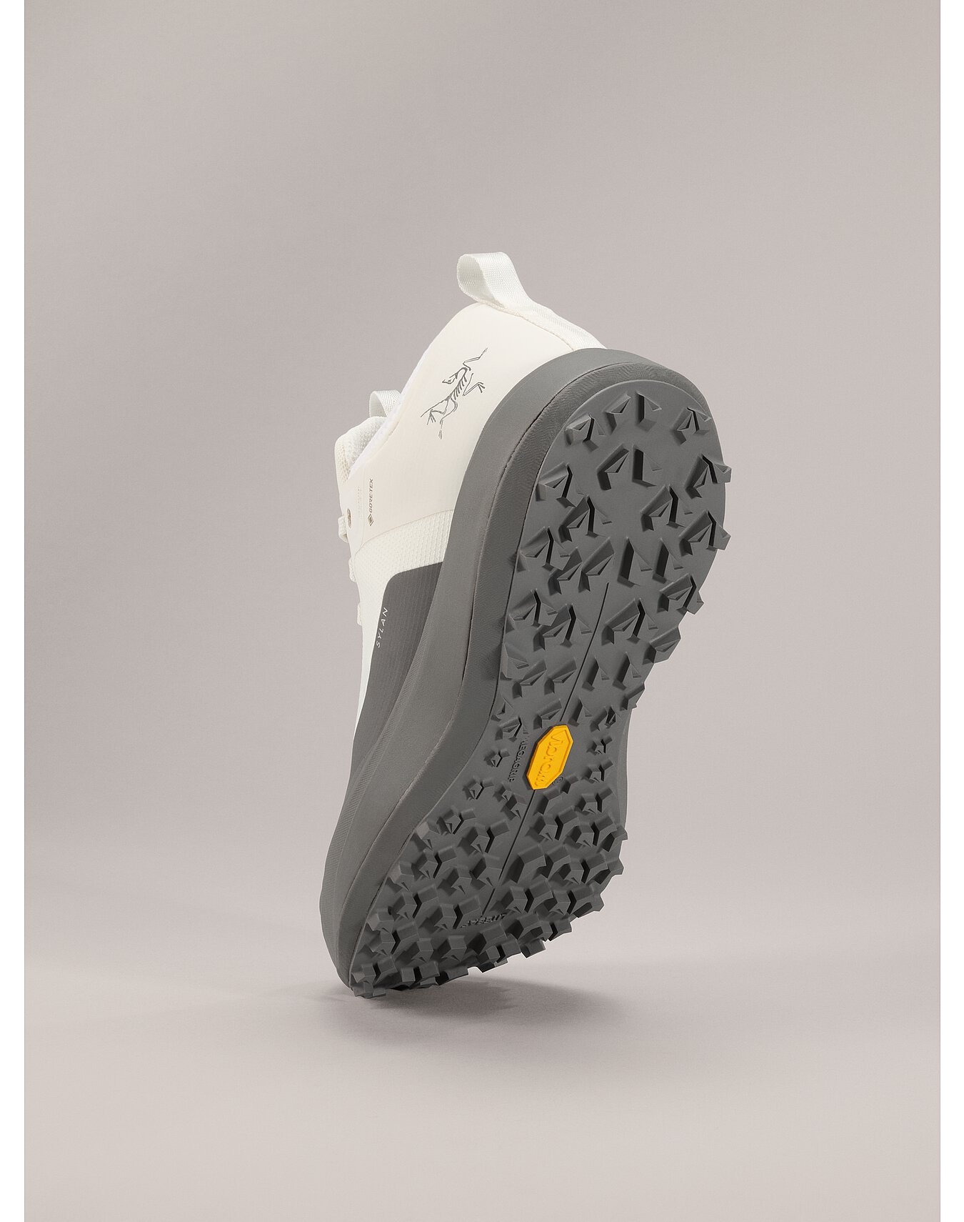Sylan GTX Shoe - 4