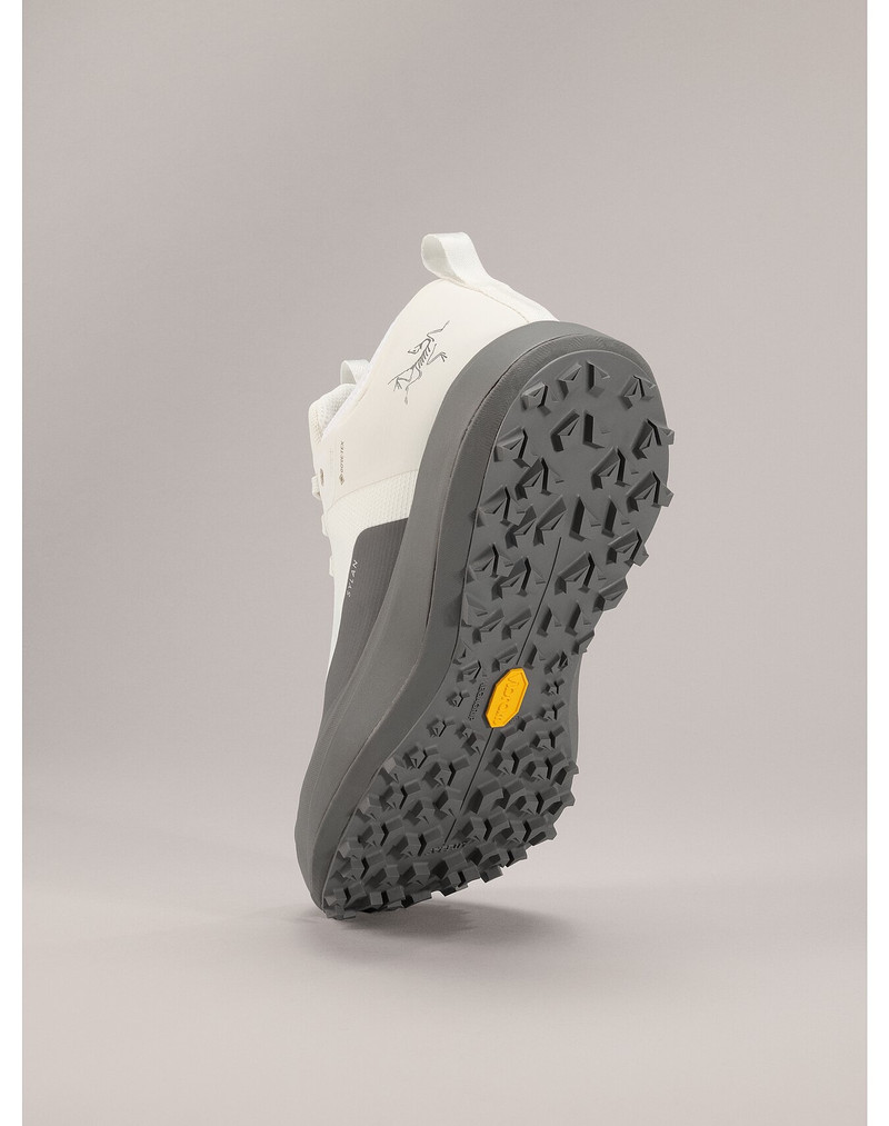 Sylan GTX Shoe 4