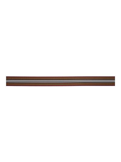Burberry Brown Icon Stripe Belt outlook