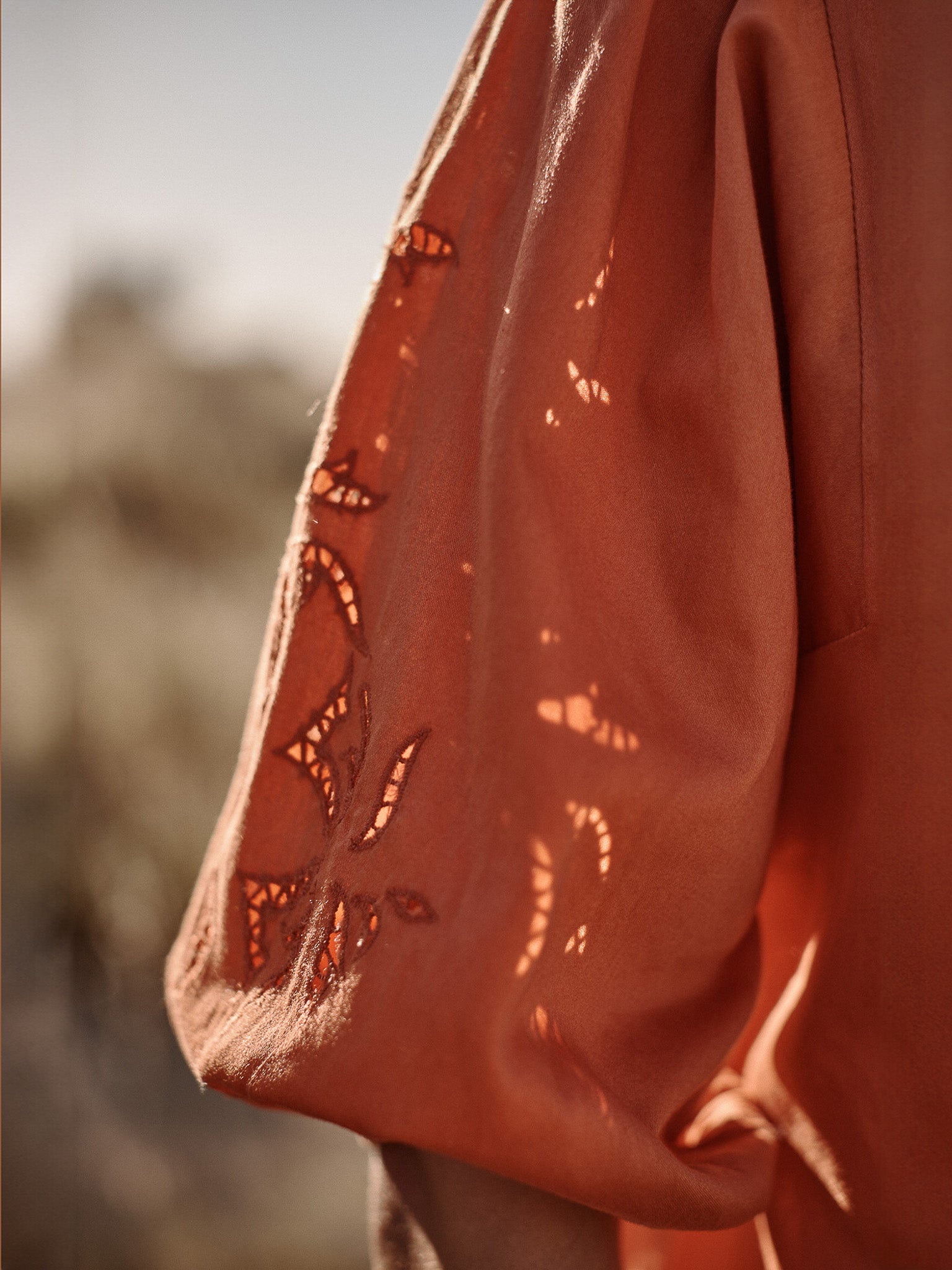 The Asteria Embroidered Top - 9