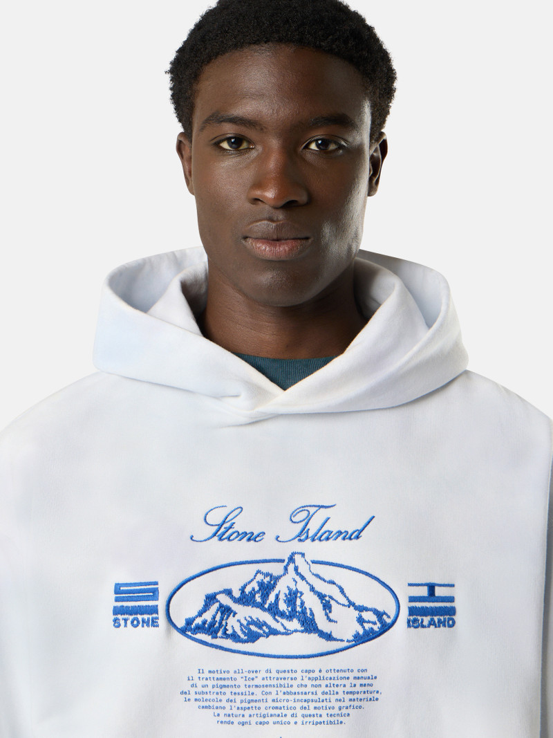 6100051 ORGANIC COTTON FLEECE 'ICE' TREATMENT 4