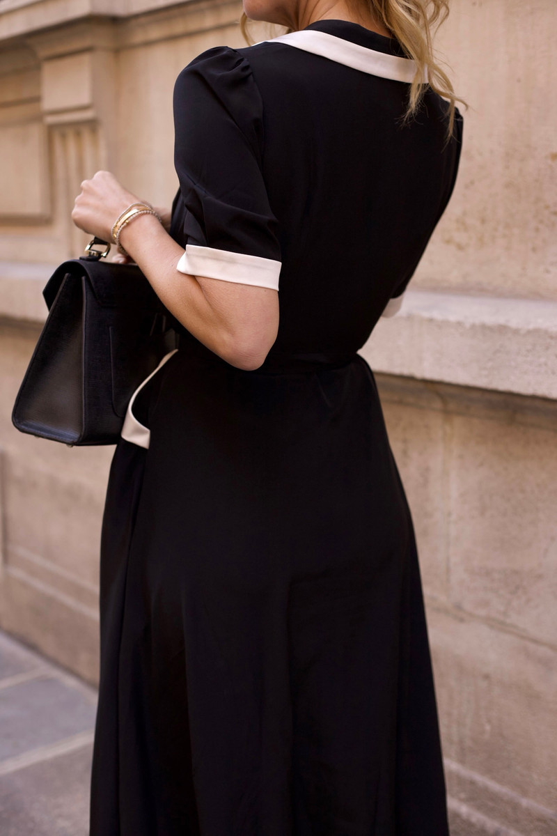 Appoline Silk Dress 12