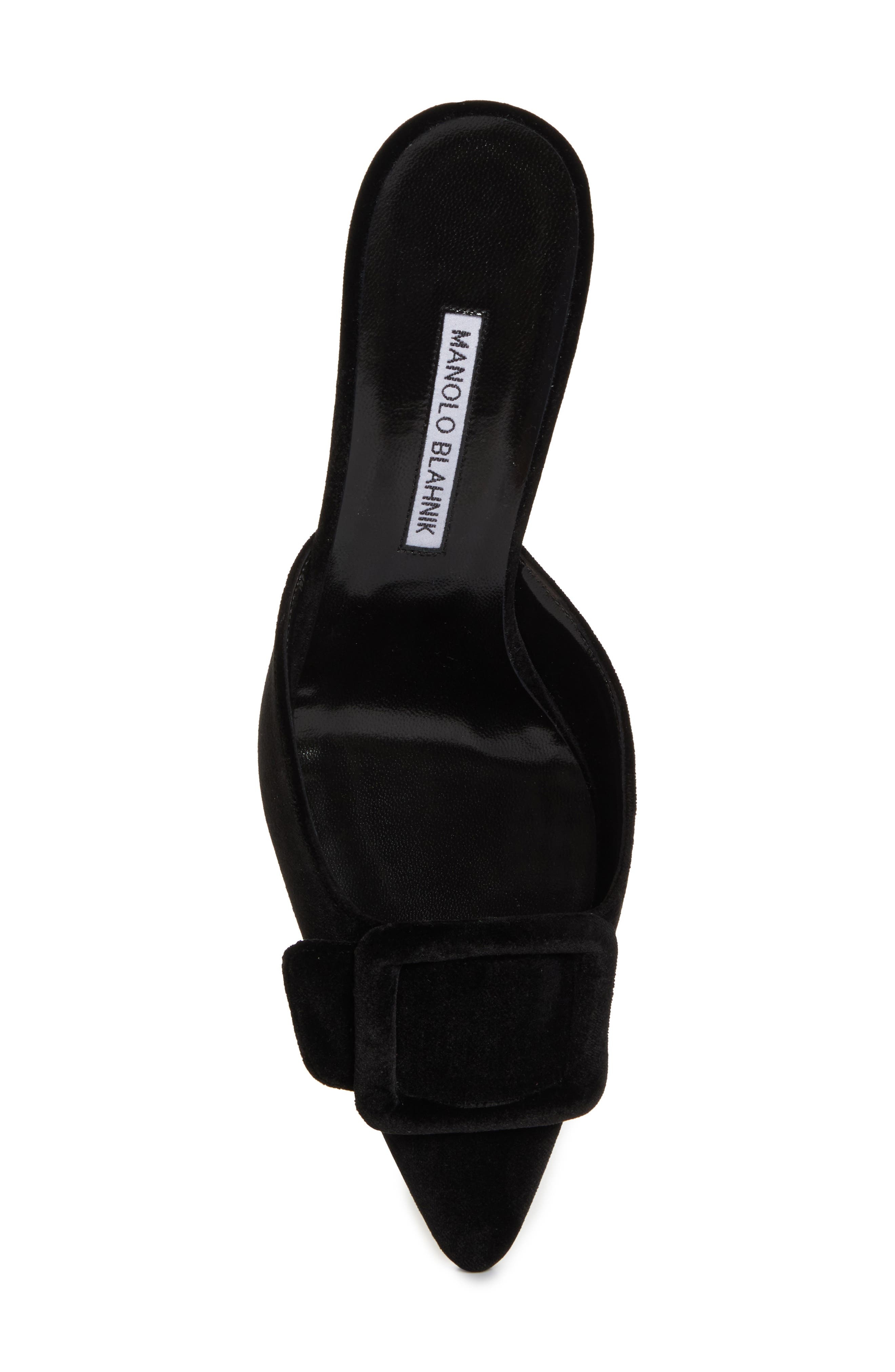 Manolo Blahnik Maysale Buckle Pointed Toe Mule in Black at Nordstrom - 5