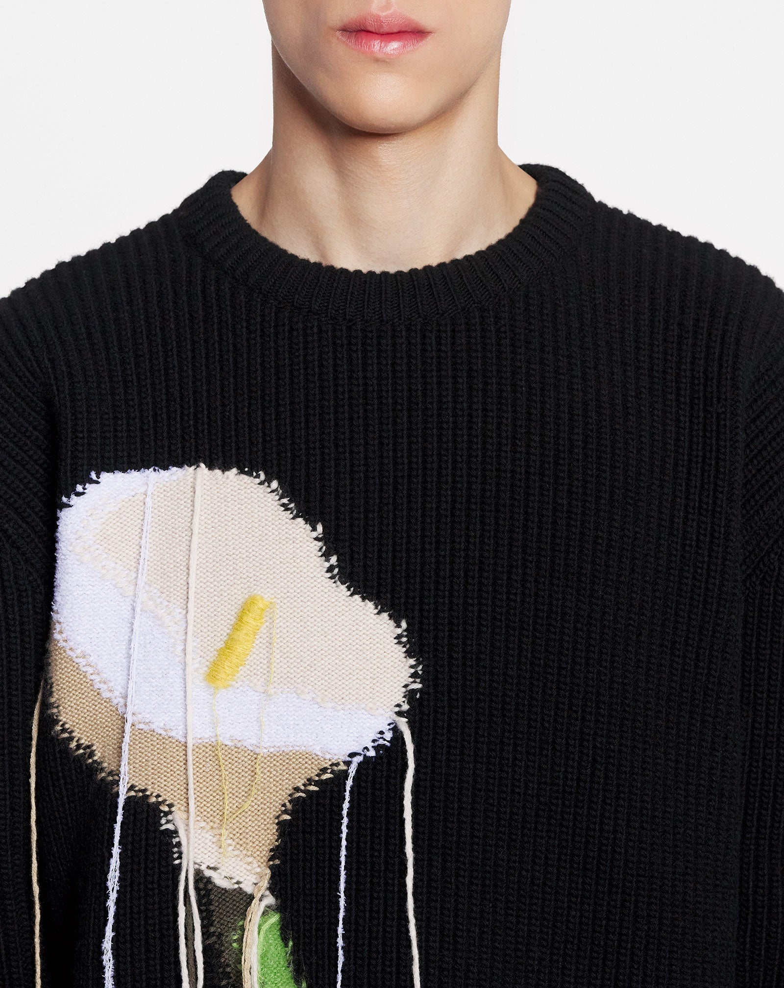 INTARSIA WOOL AND CASHMERE CREW-NECK SWEATER - 5
