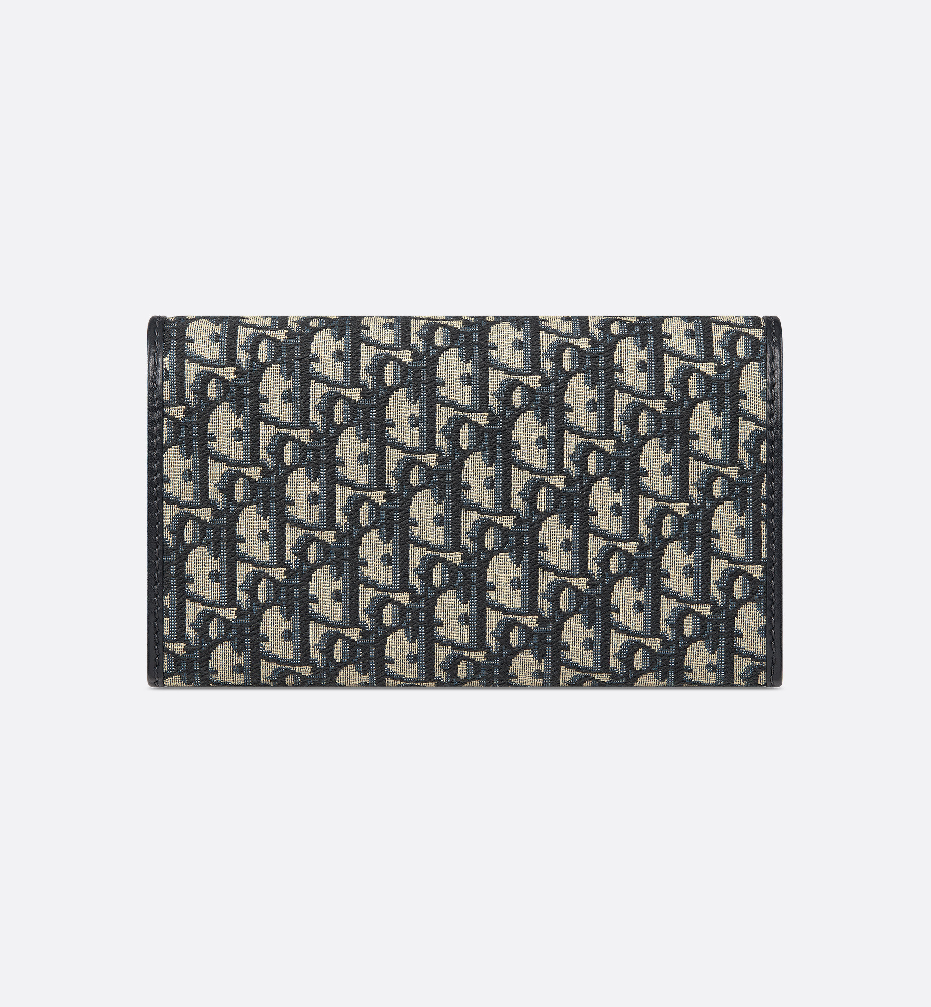 Dior Bobby East-West Pouch with Chain - 5