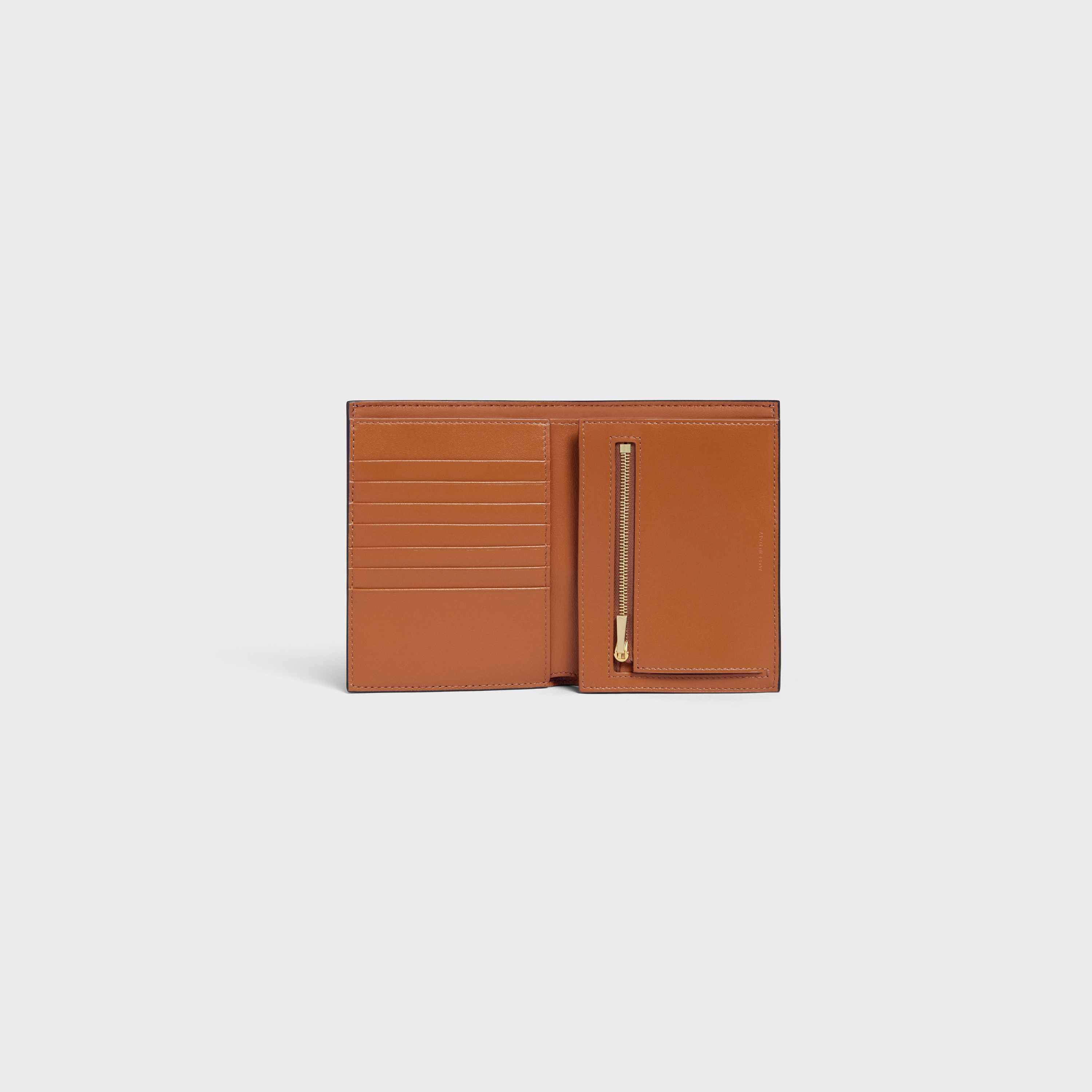 Medium Strap Wallet in Triomphe Canvas and lambskin - 4