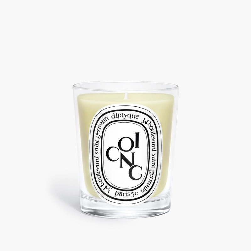 Coing (Quince) - Classic Candle 6