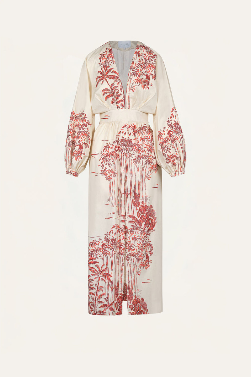 Andar Aventurero Dress 1