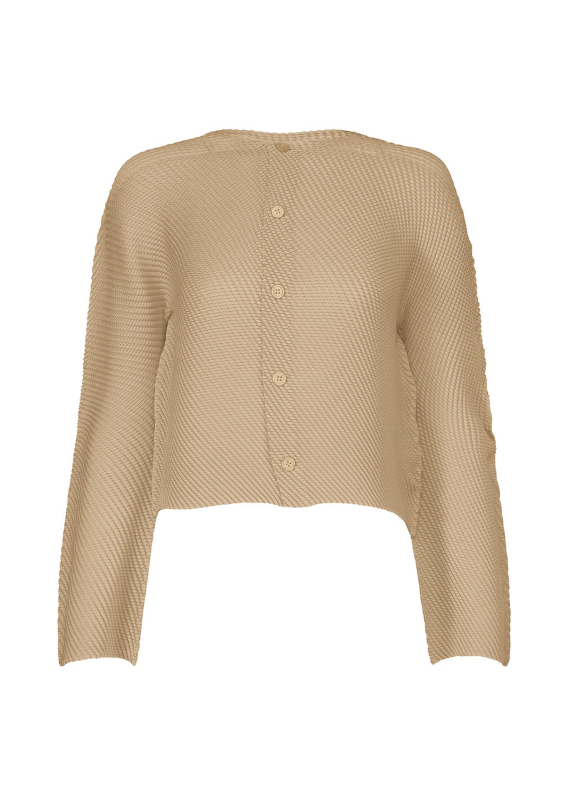 SHIFTED MISTY PLEATS 1