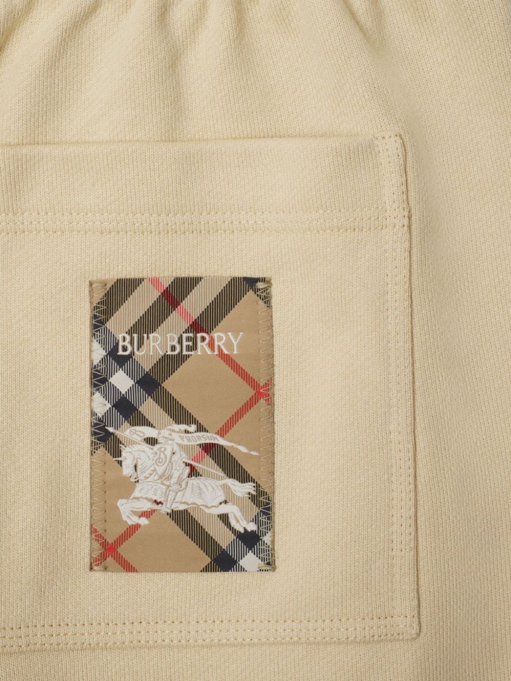 Check Label track shorts - 5