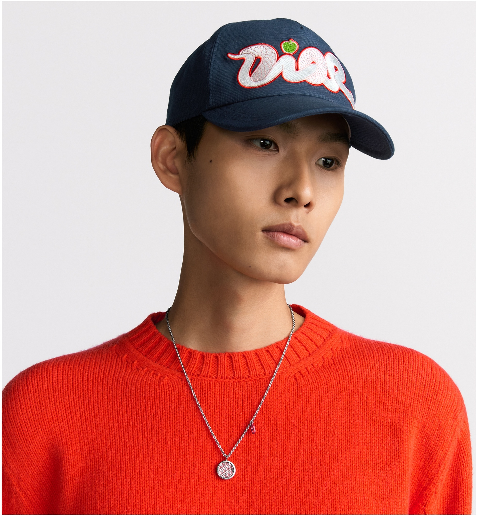 DIOR AND KAWS Sweater - 5