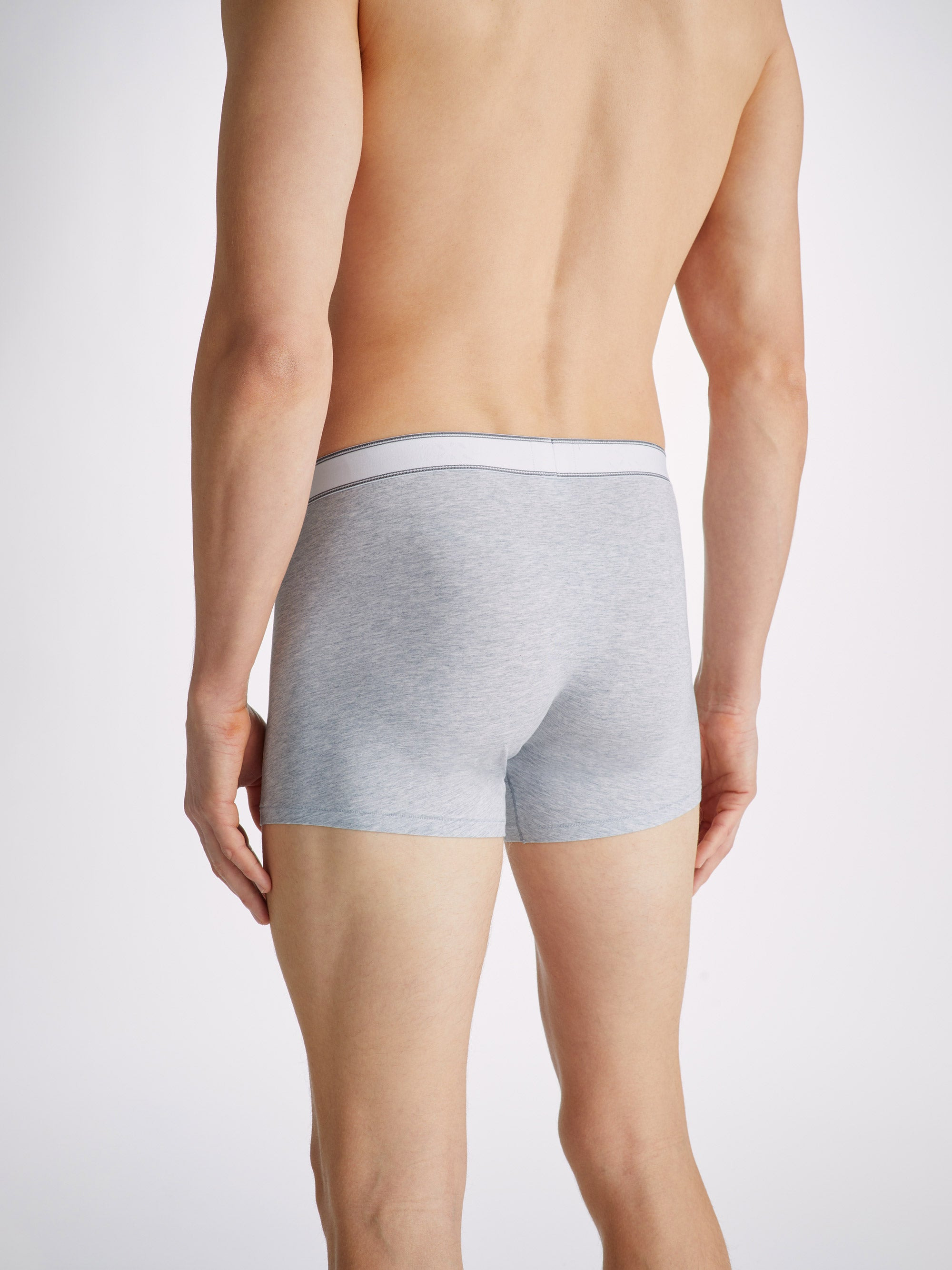 Men's Boxer Briefs Ethan Micro Modal Stretch Silver - 7