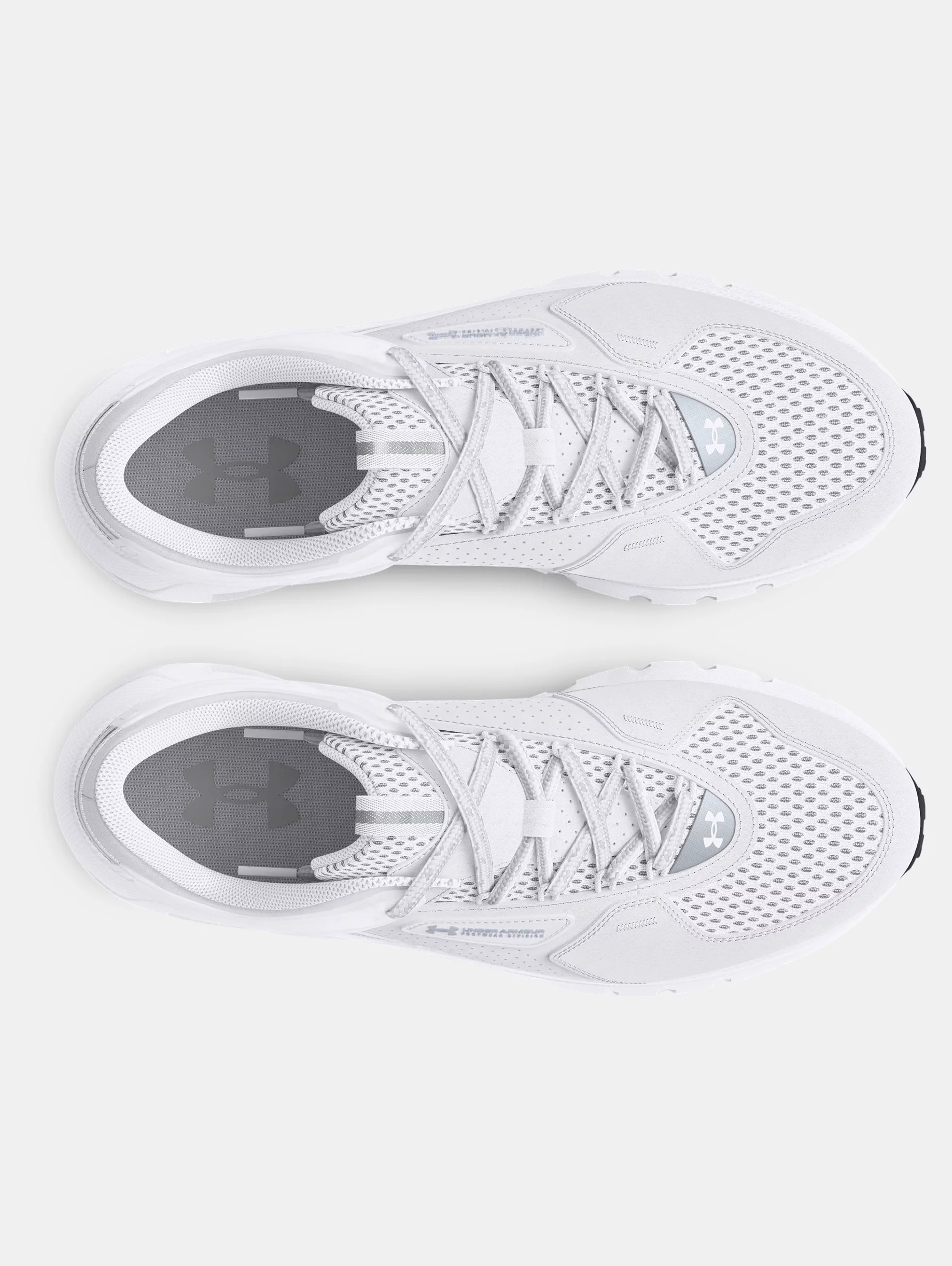 UA Summit Trek - 3