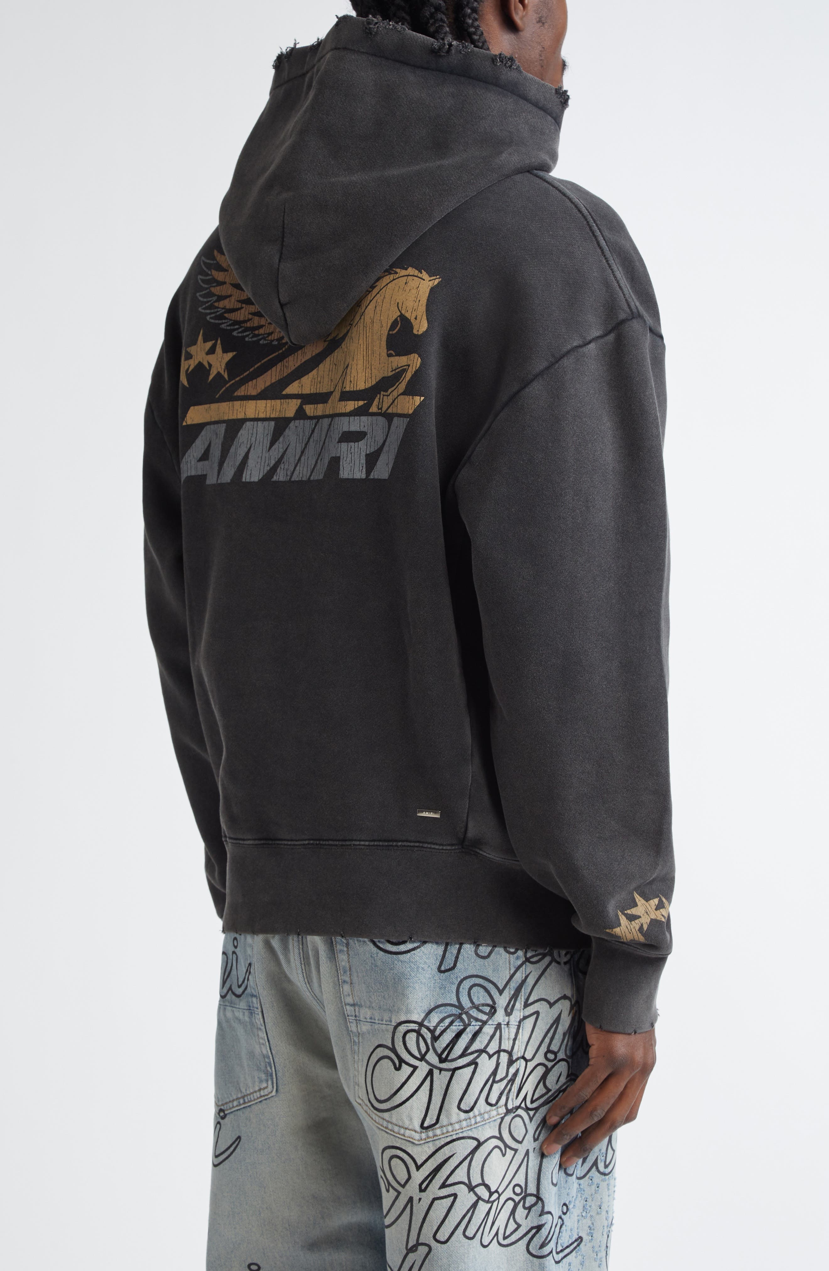 AMIRI Pegasus Distressed Cotton Graphic Hoodie in Black at Nordstrom - 2