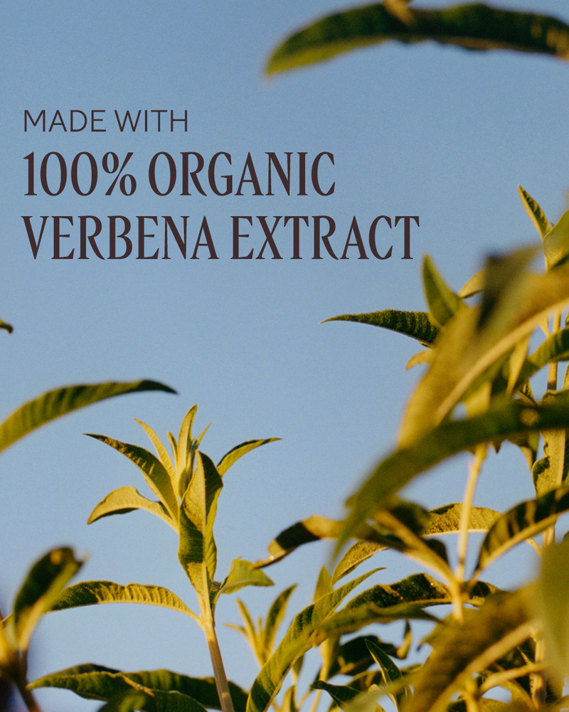 Verbena Collection 3