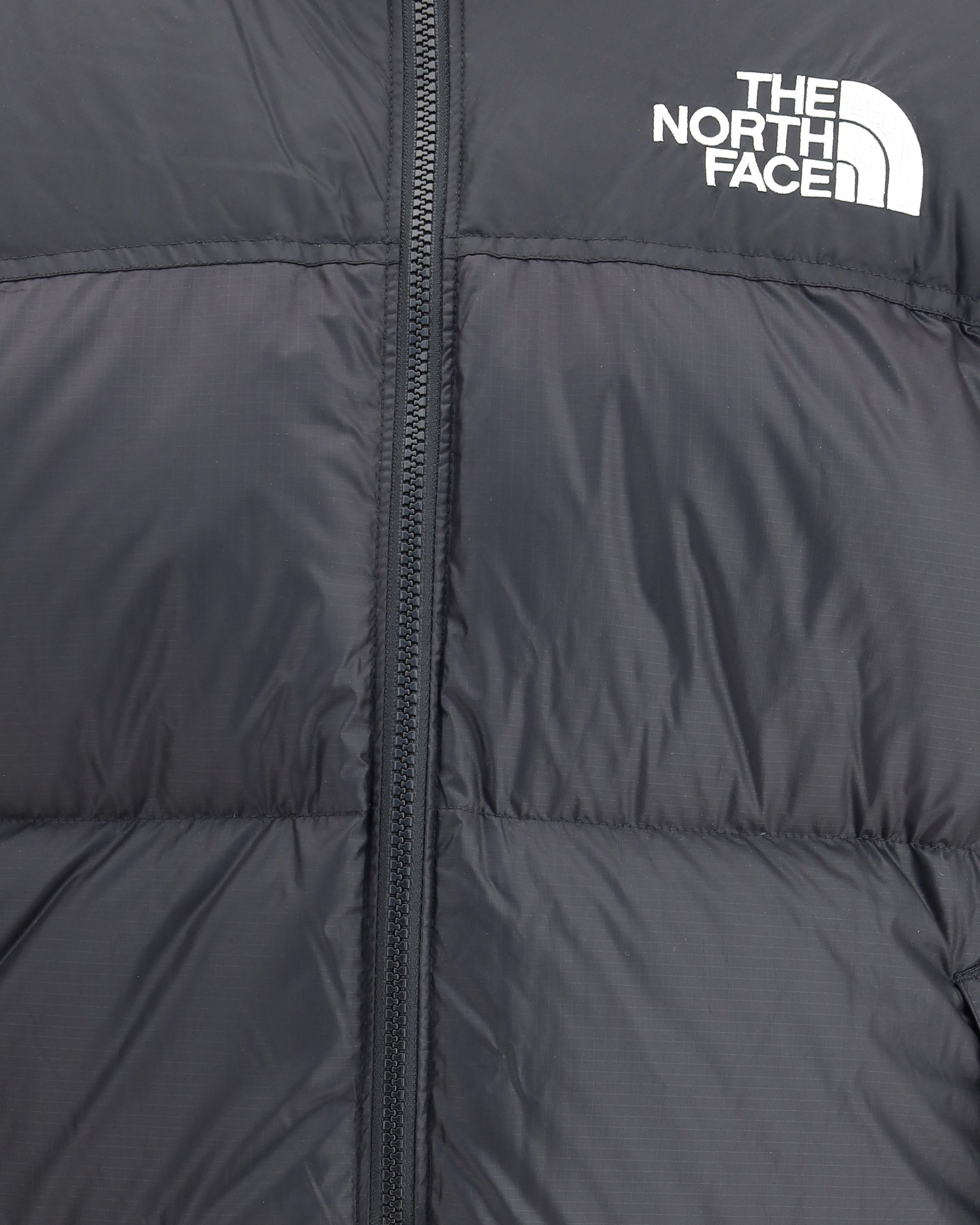 1996 Retro Nuptse Down Jacket - 3