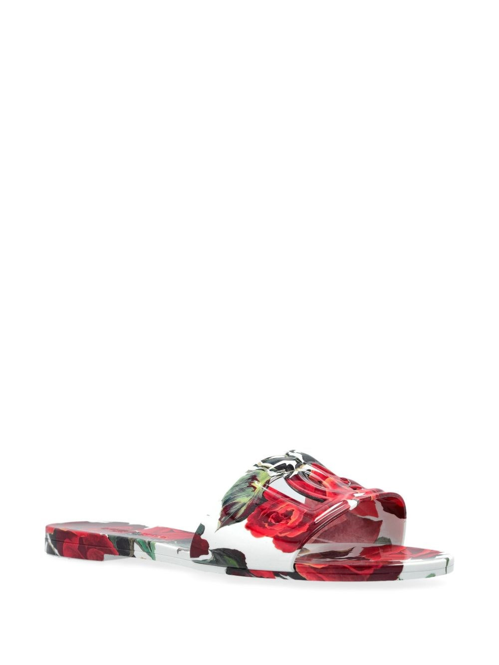 DG printed slides - 6