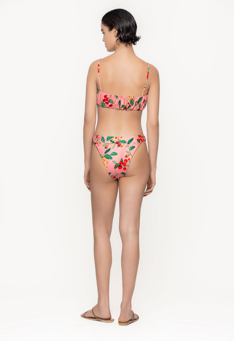 Eneldo Frutal Bikini Top 4