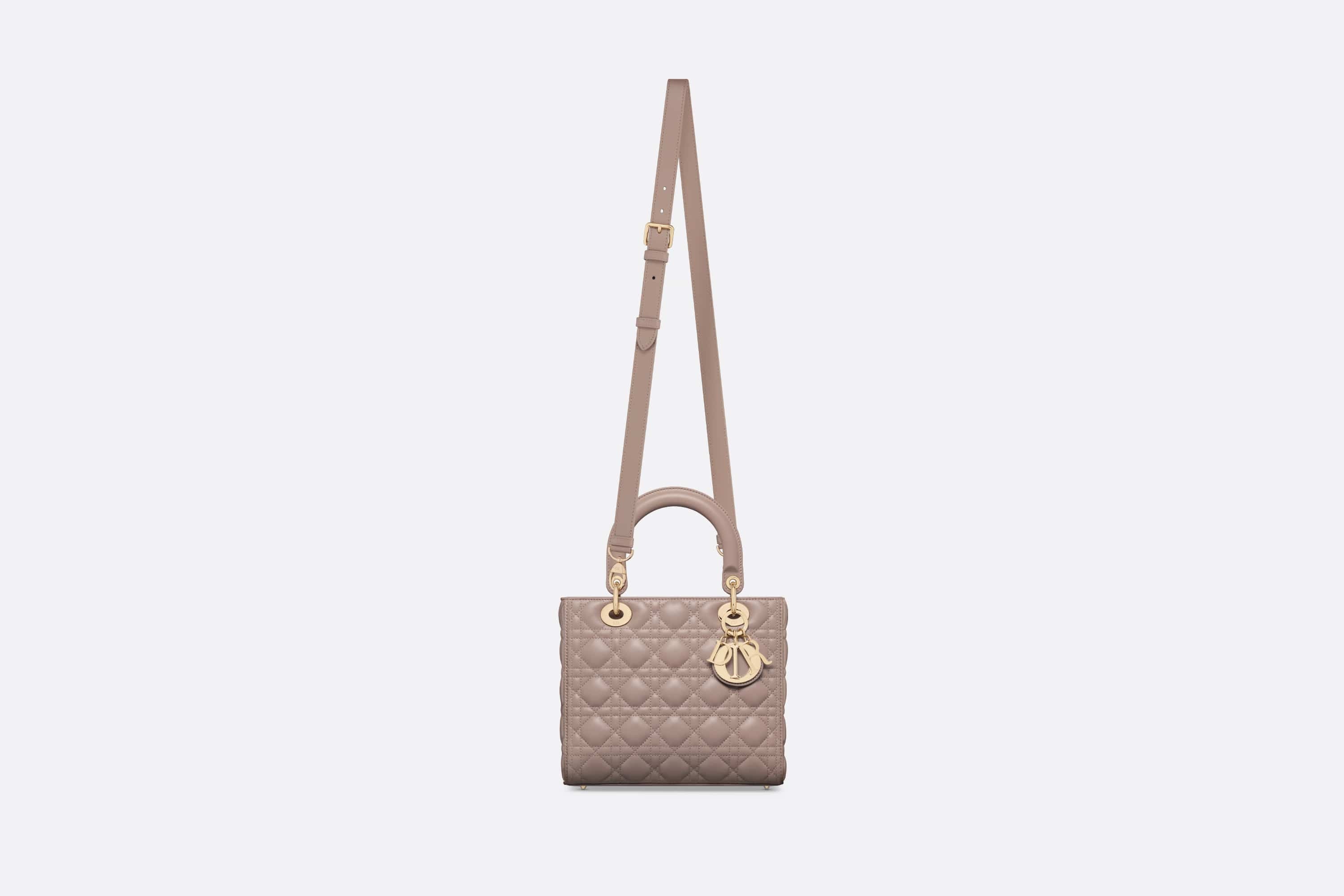 Medium Lady Dior Bag - 5