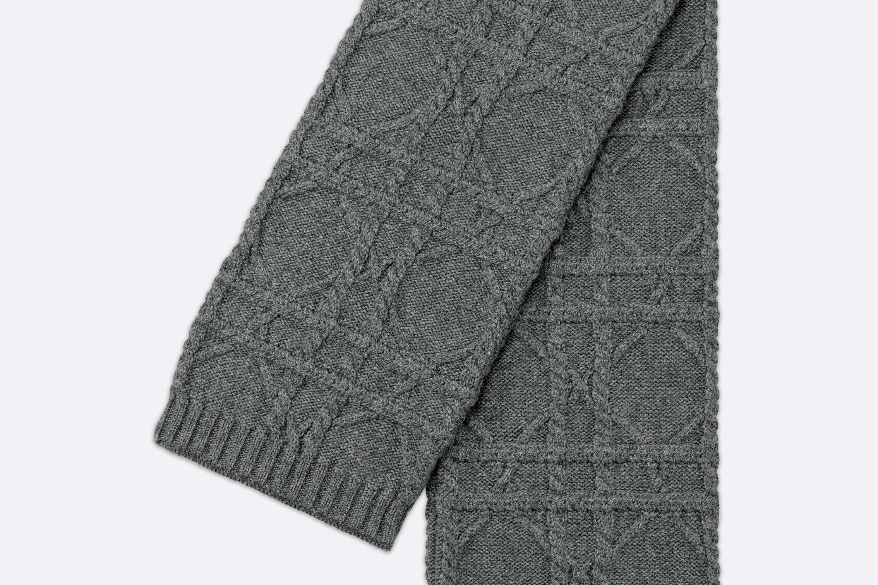 Dior Icons Scarf - 2
