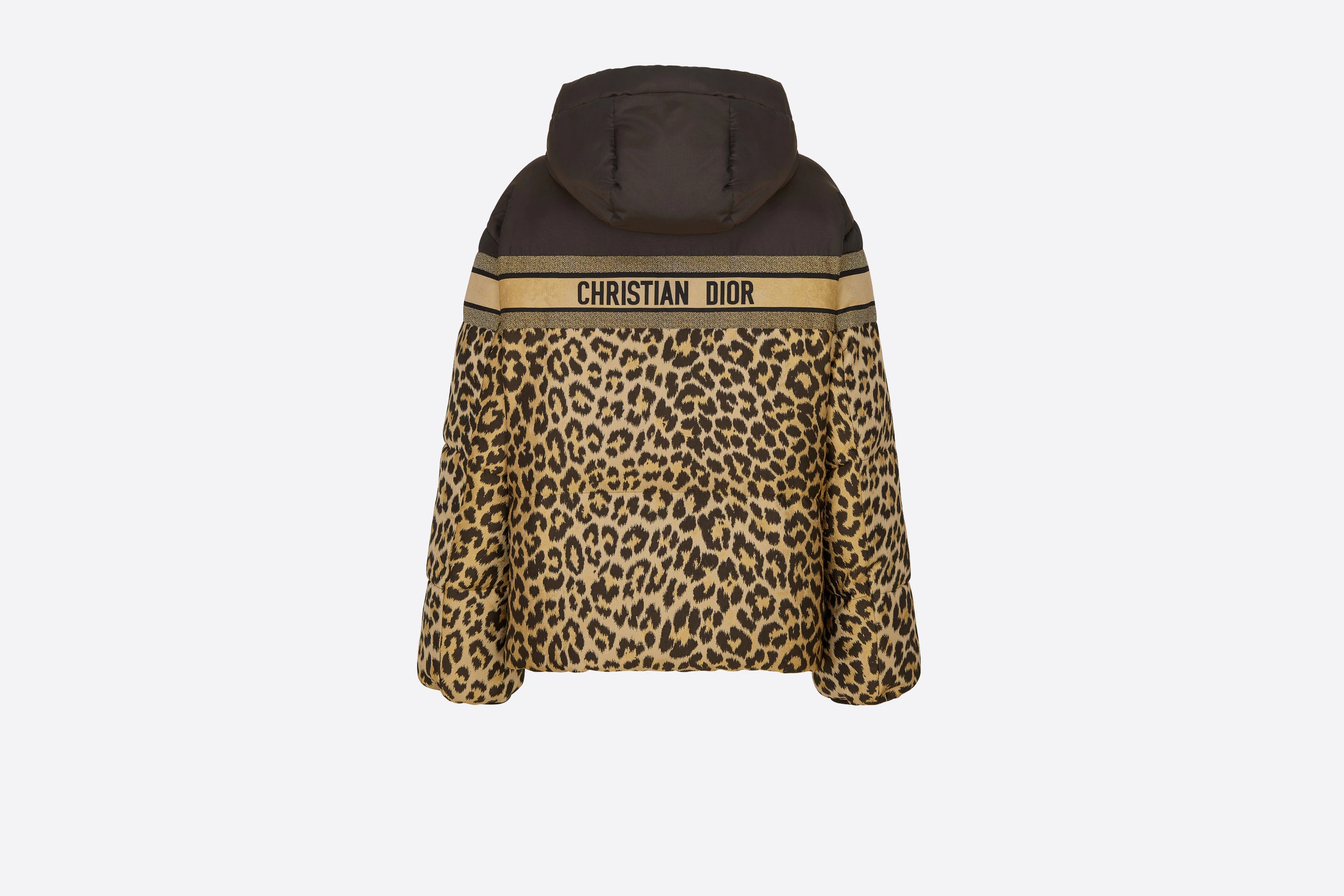 DiorAlps Hooded Down Jacket - 2