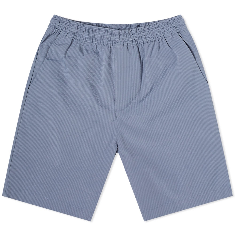 Nike SB Seersucker Chino Short - 1