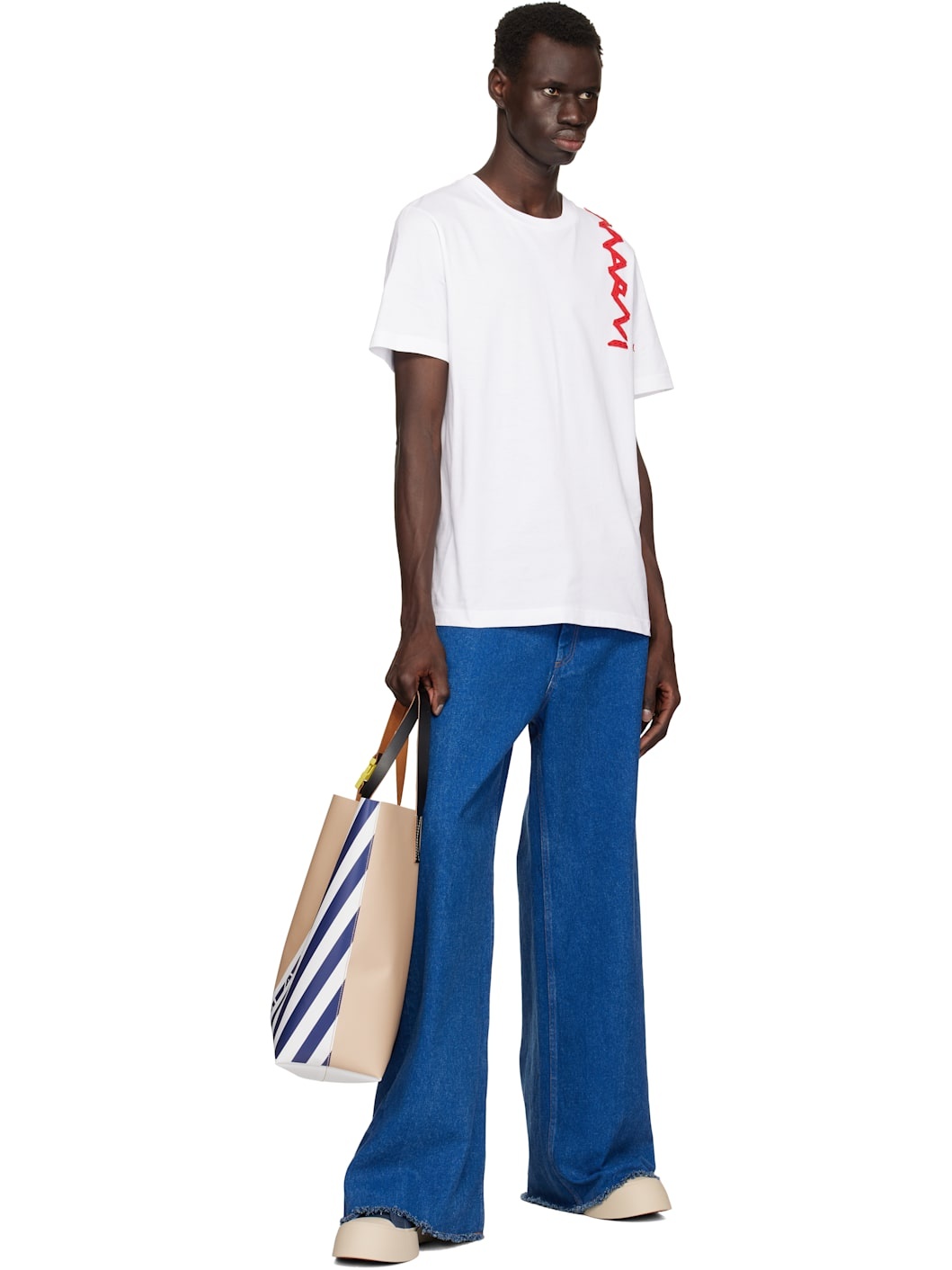 Beige & Blue Stripes N/S Tote - 4