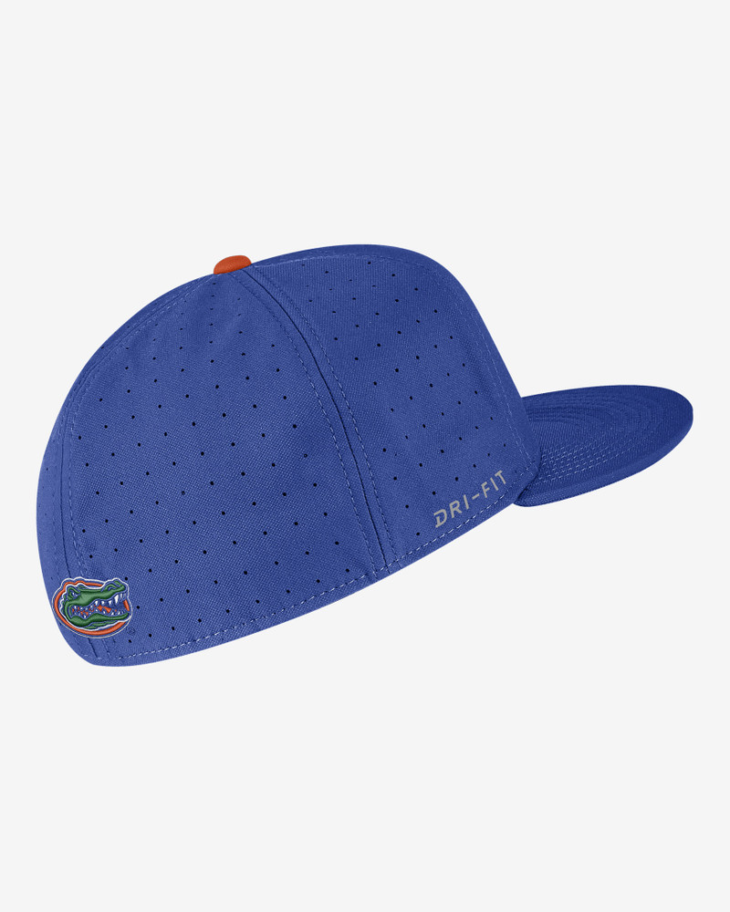 Nike Florida Nike College Baseball Hat outlook