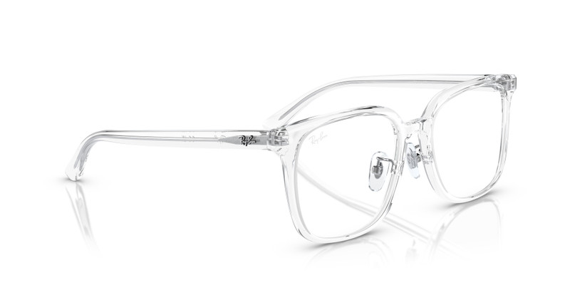 RB5419 OPTICS 7