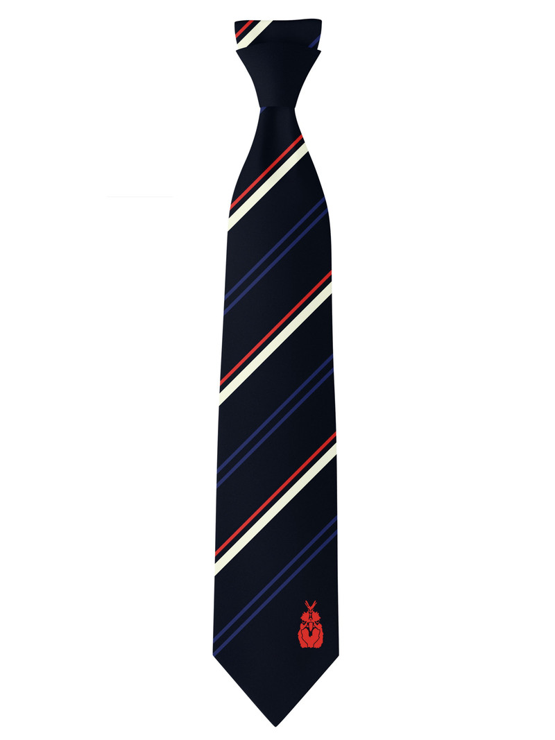 CHICKEN TIE - NAVY 1