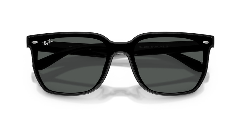 Ray-Ban RB4466D outlook