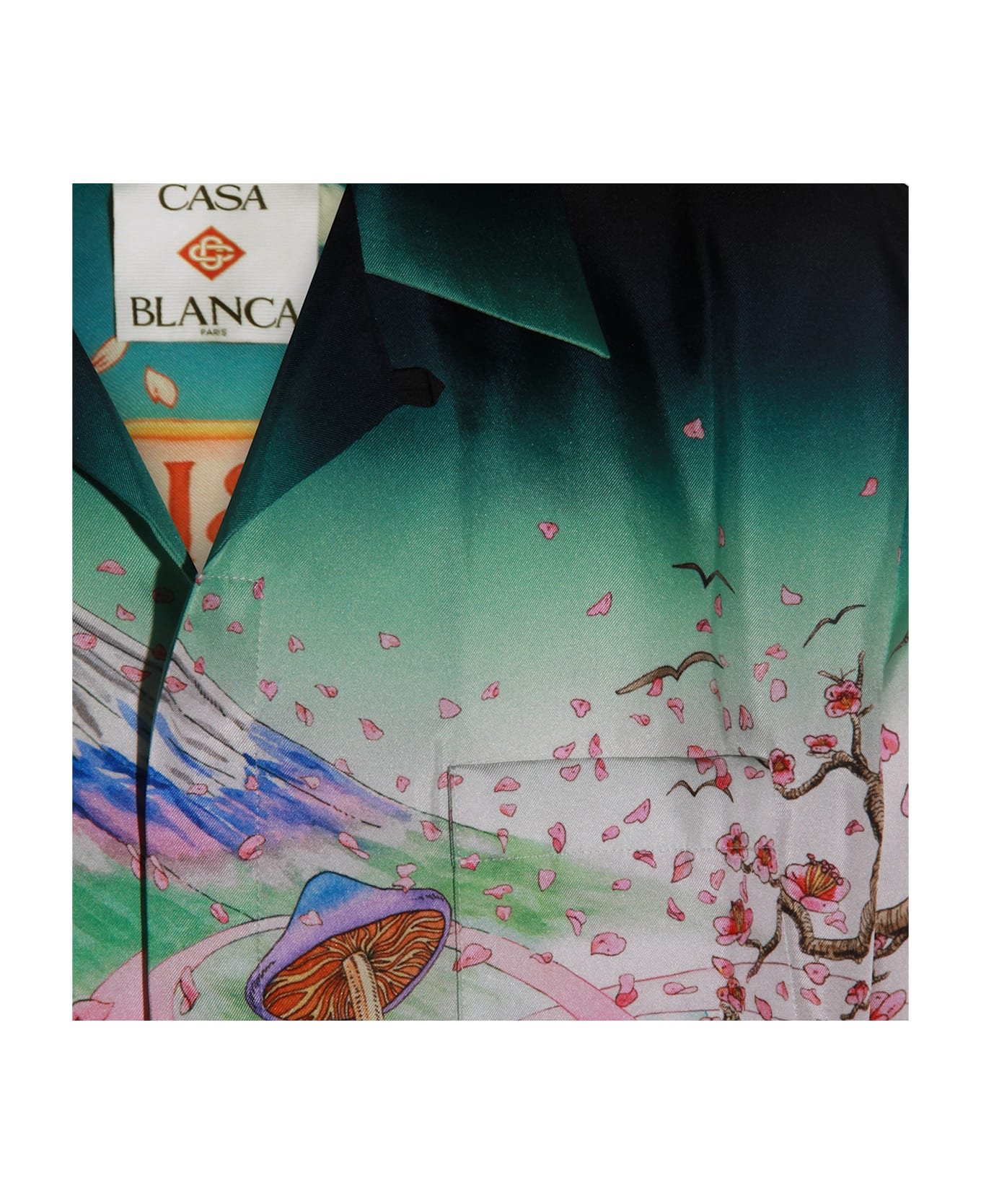 Multicolor Silk Shirt - 3