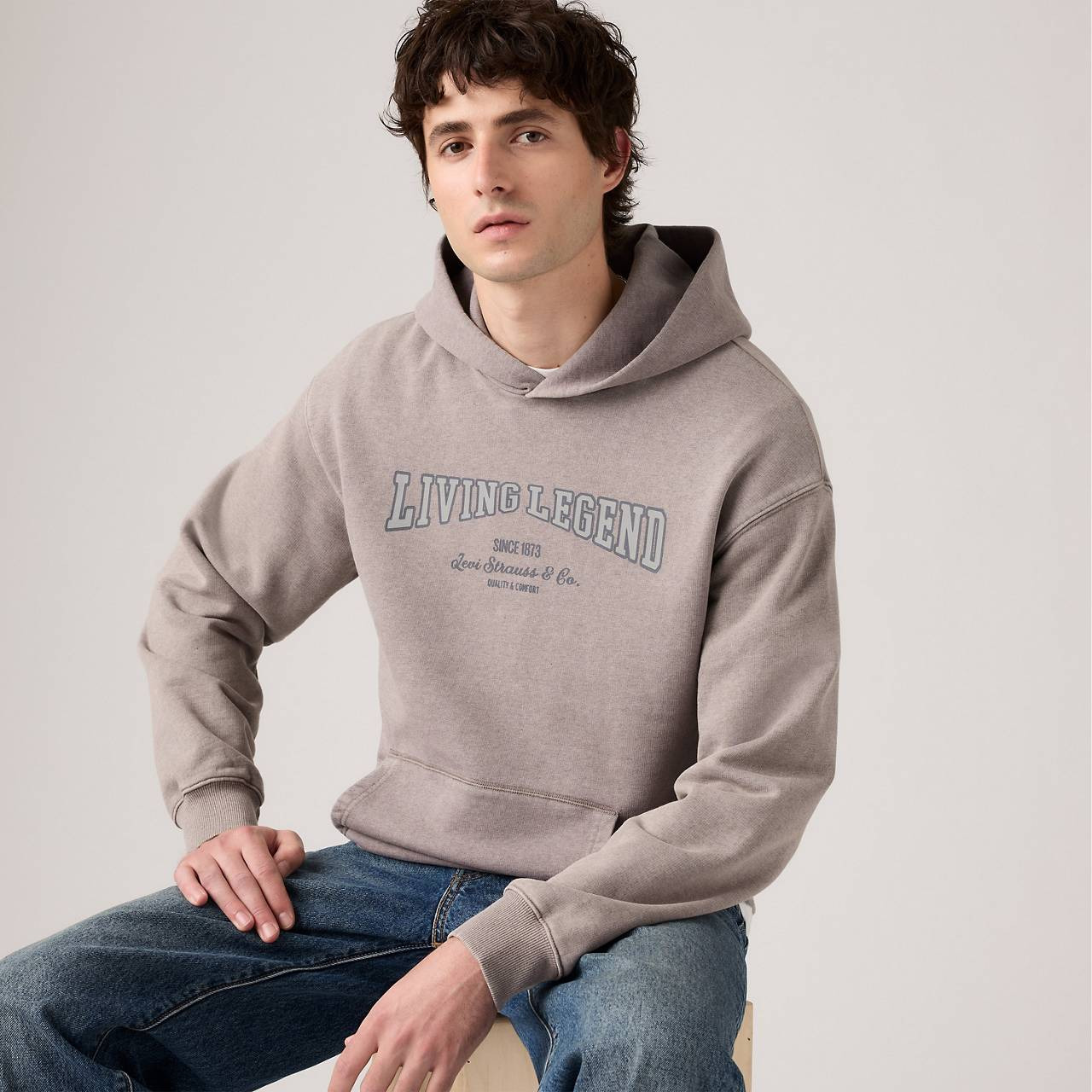 TWO HORSE BOXY CROPPED HOODIE SWEATSHIRT - 2