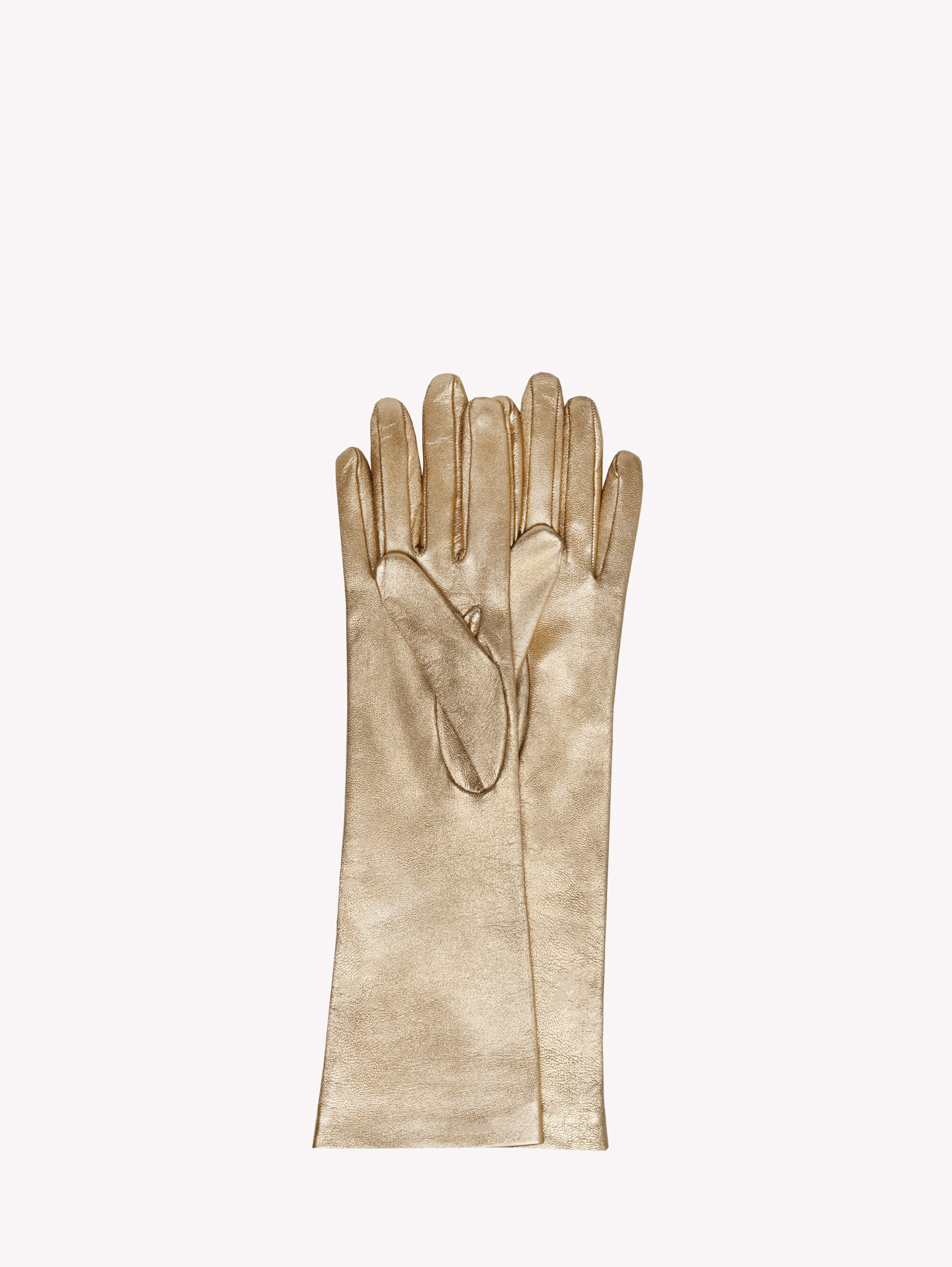 LONG GLOVE - 2