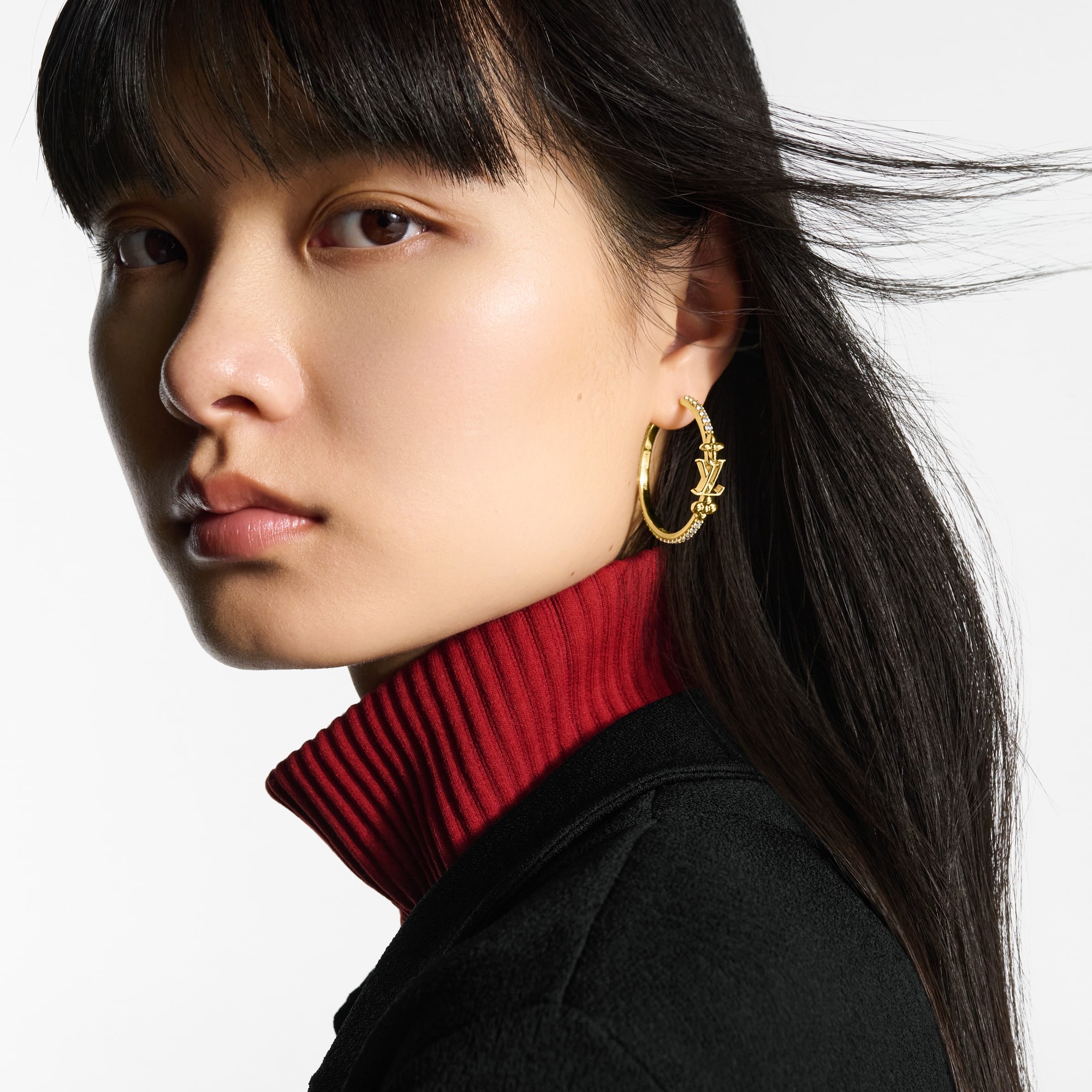 LV Iconic Earrings - 5