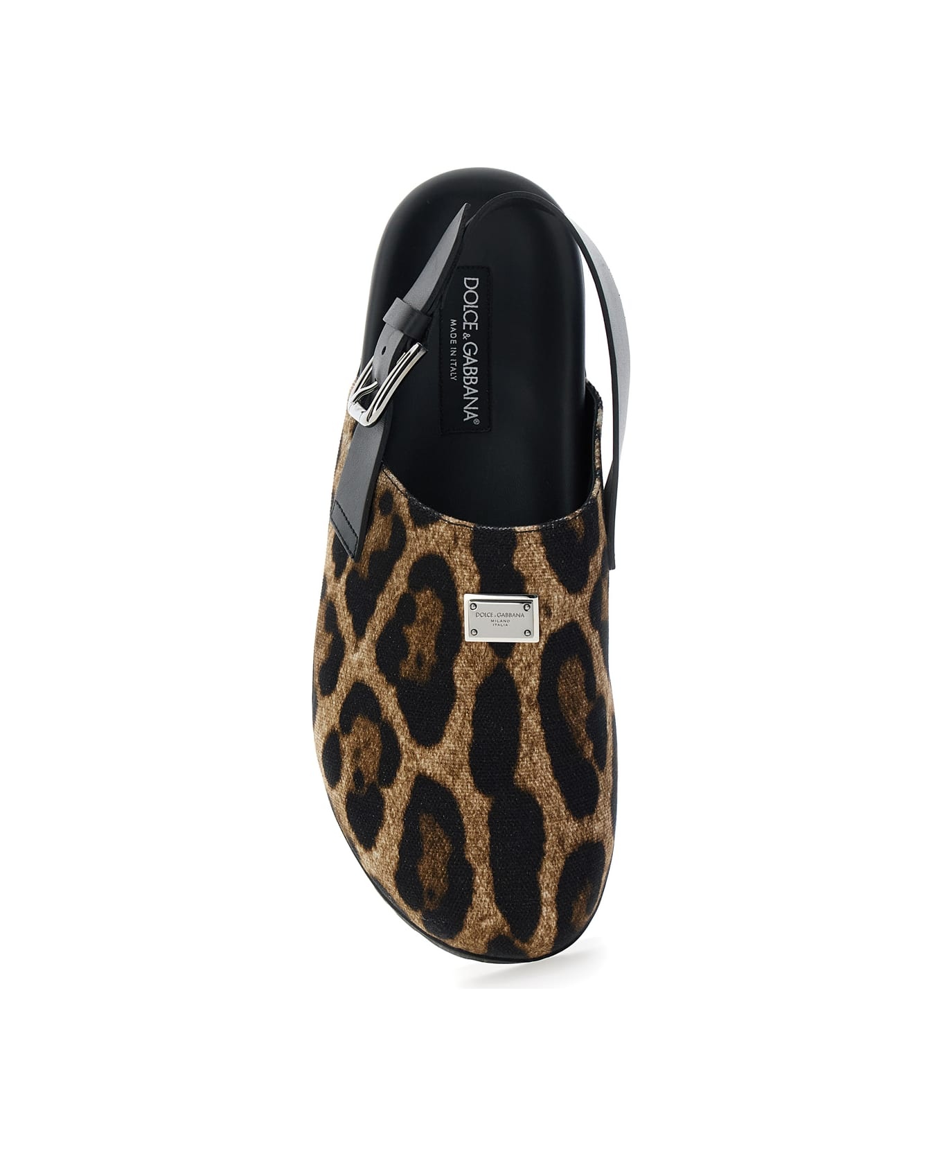 Leopard Dg Day - 4