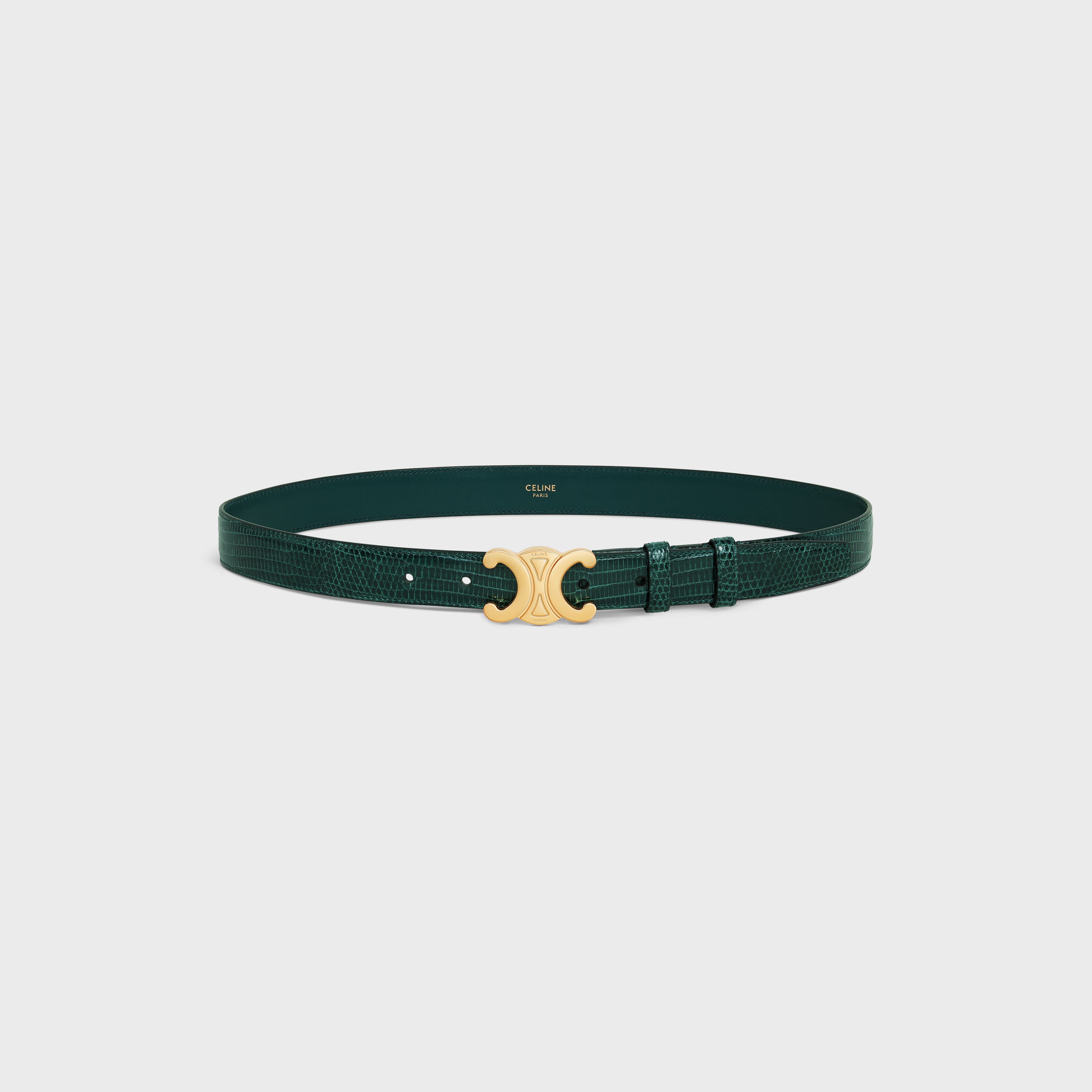 Medium Triomphe Belt in Lizard - 3