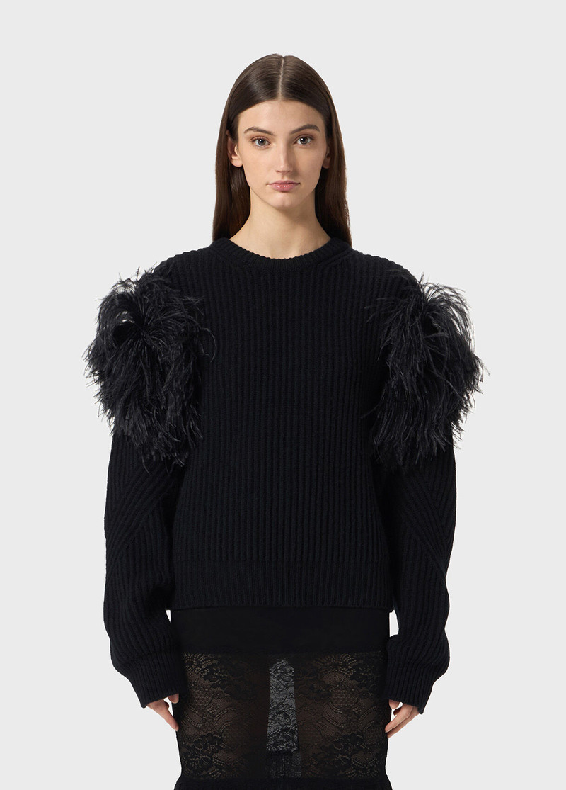 Blumarine RIBBED WOOL SWEATER WITH FEATHERS outlook