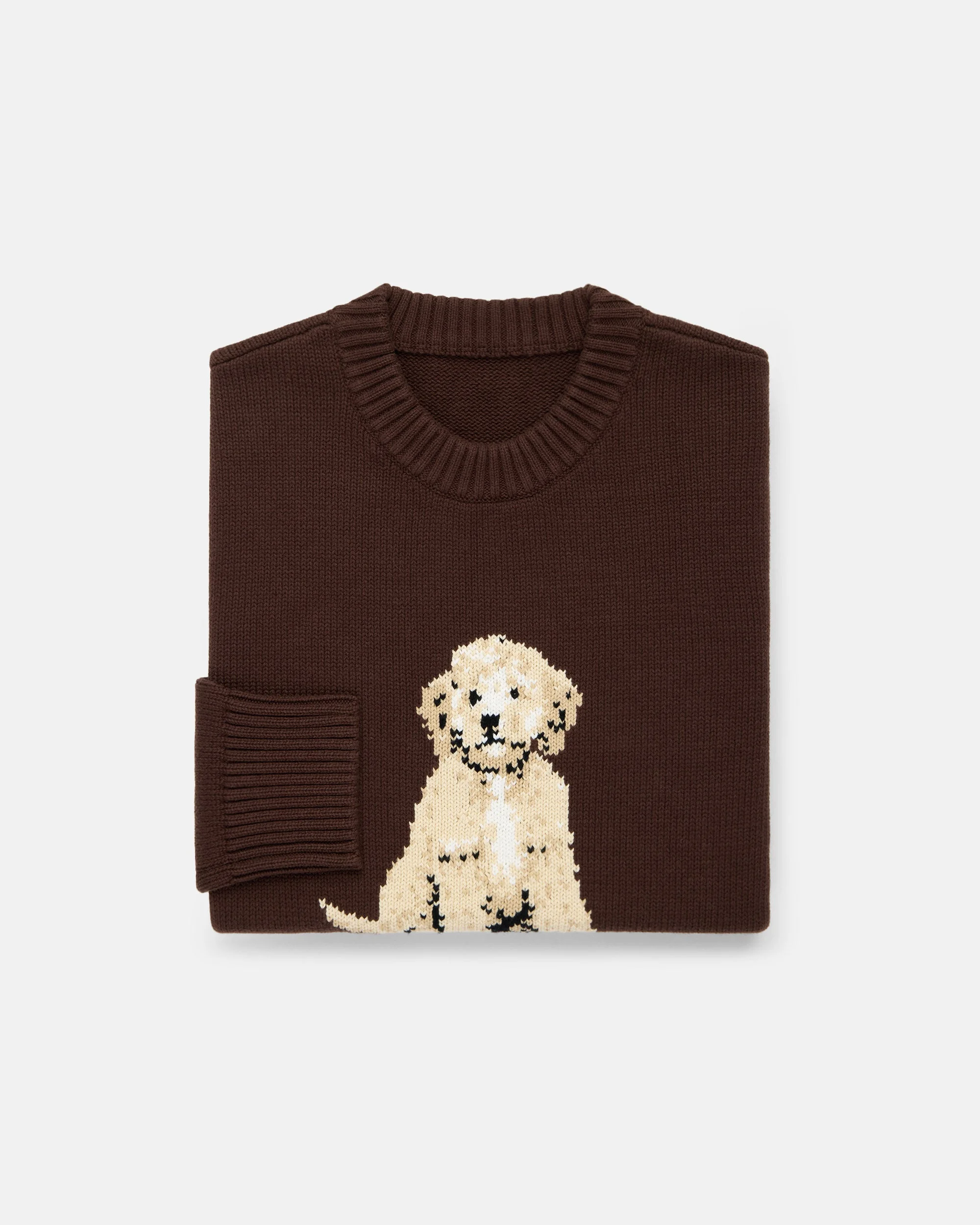 DOODLE INTARSIA KNIT COTTON SWEATER - 1