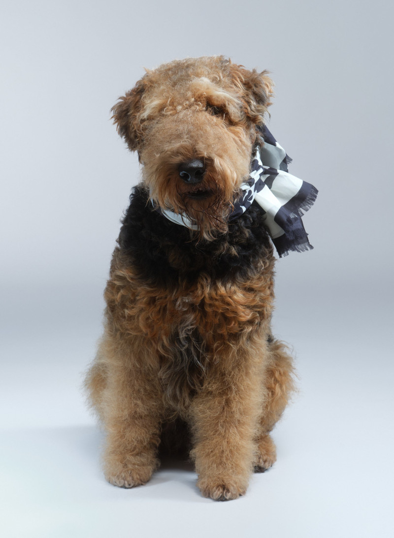 Dries Van Noten HIBISCUS PRINT SCARF outlook