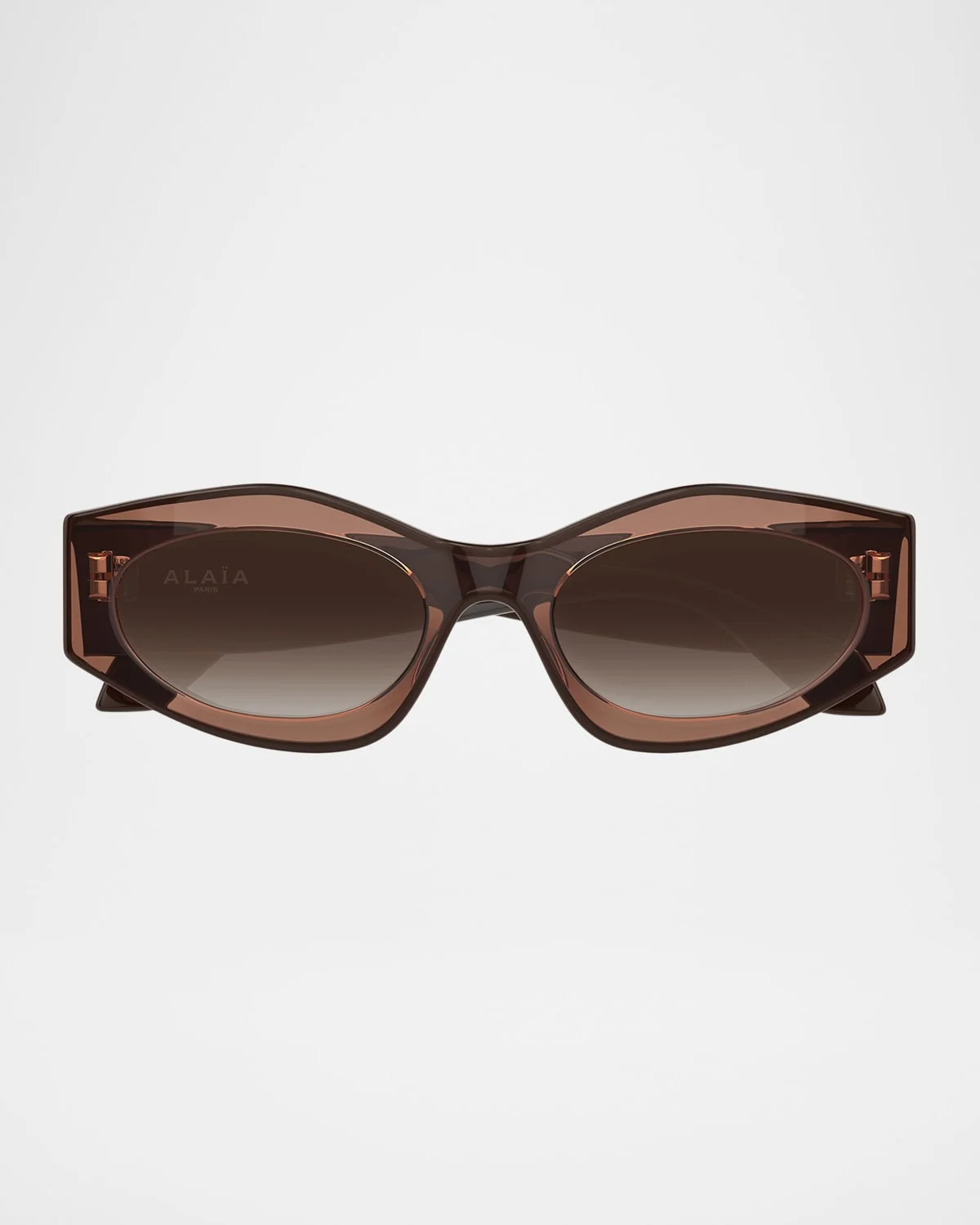 Cat-Eye Acetate Sunglasses - 1