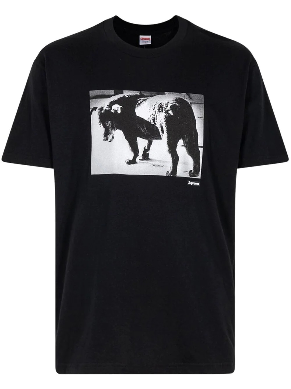 x Daido Moriyama Dog T-shirt - 1