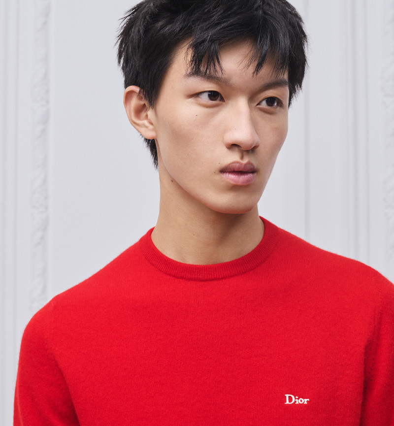 Dior Sweater with Dior Embroidery outlook