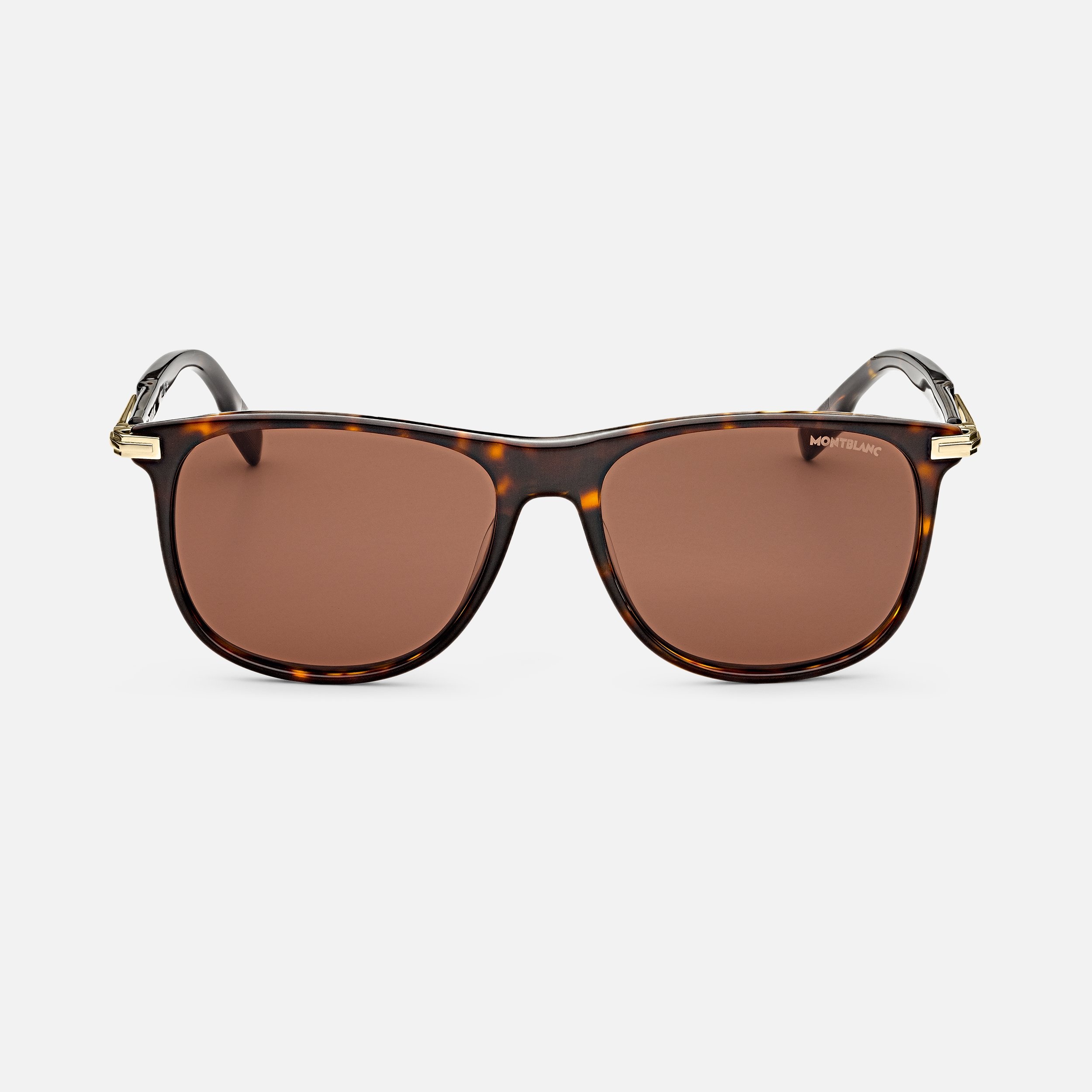 Rectangular Sunglasses with Havana-Colored Acetate Frame - 1