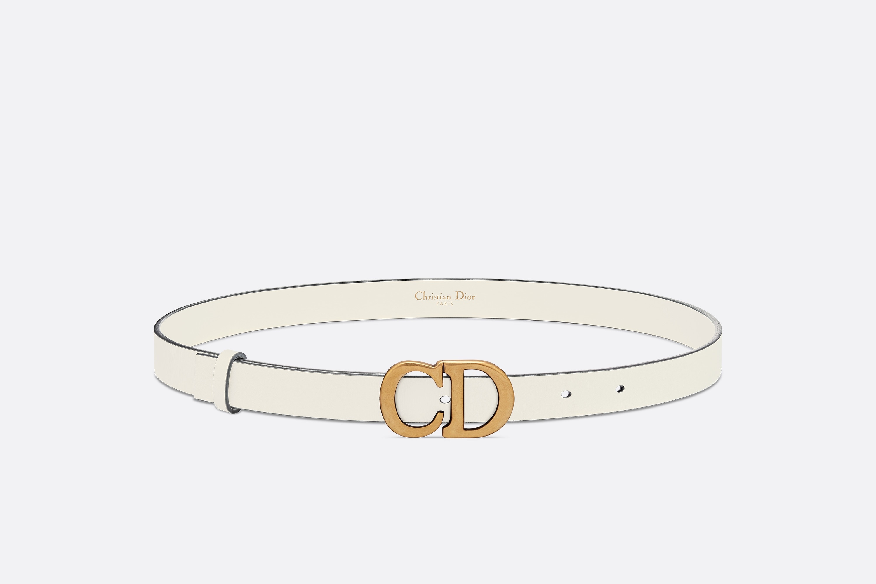 Dior Saddle Belt | REVERSIBLE