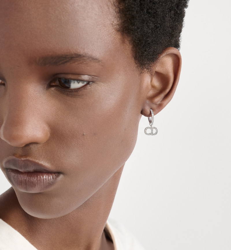 Dior Clair D Lune Earrings outlook