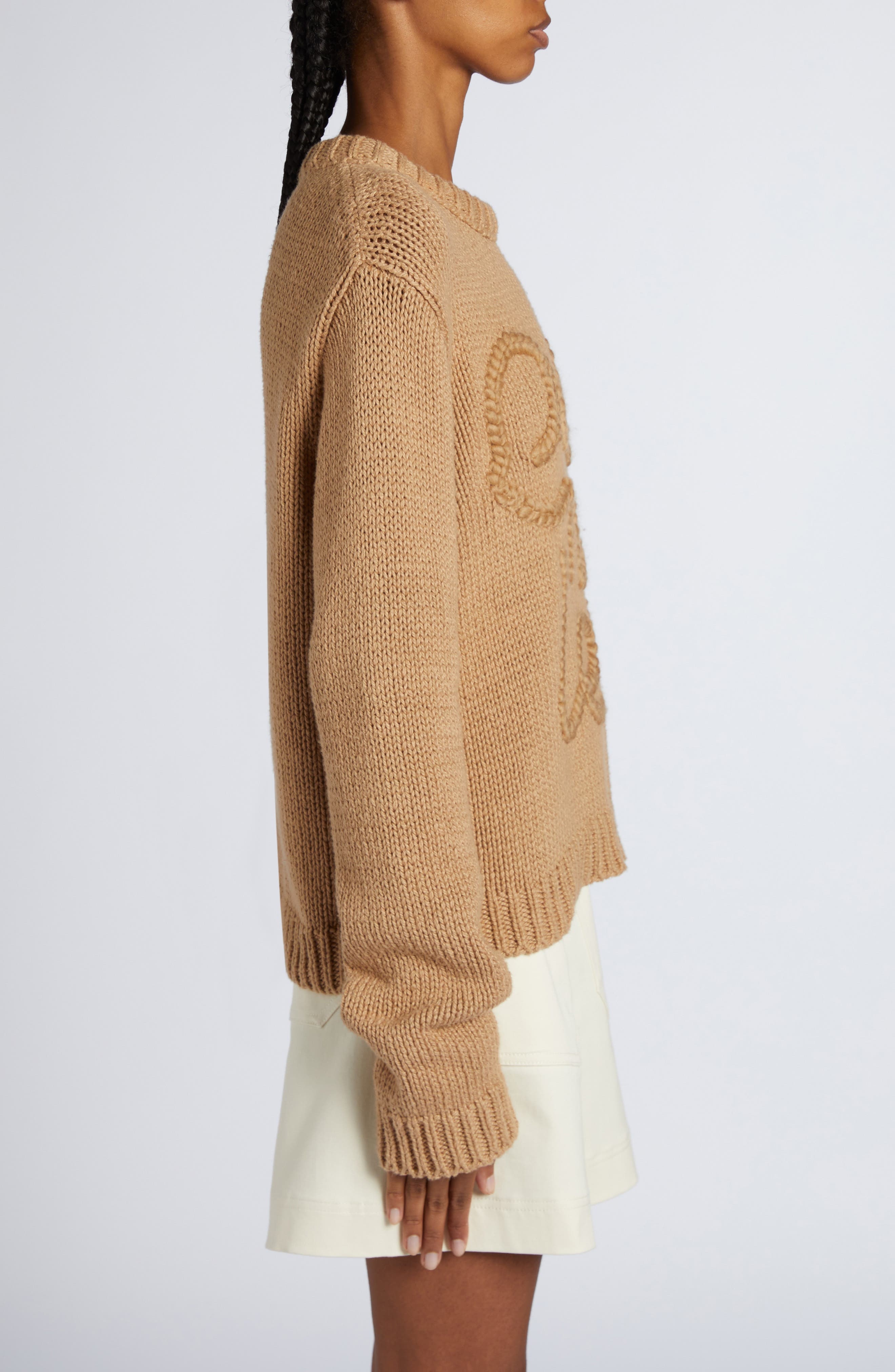 Moncler Logo Embroidered Crewneck Sweater in Beige Tan at Nordstrom - 3