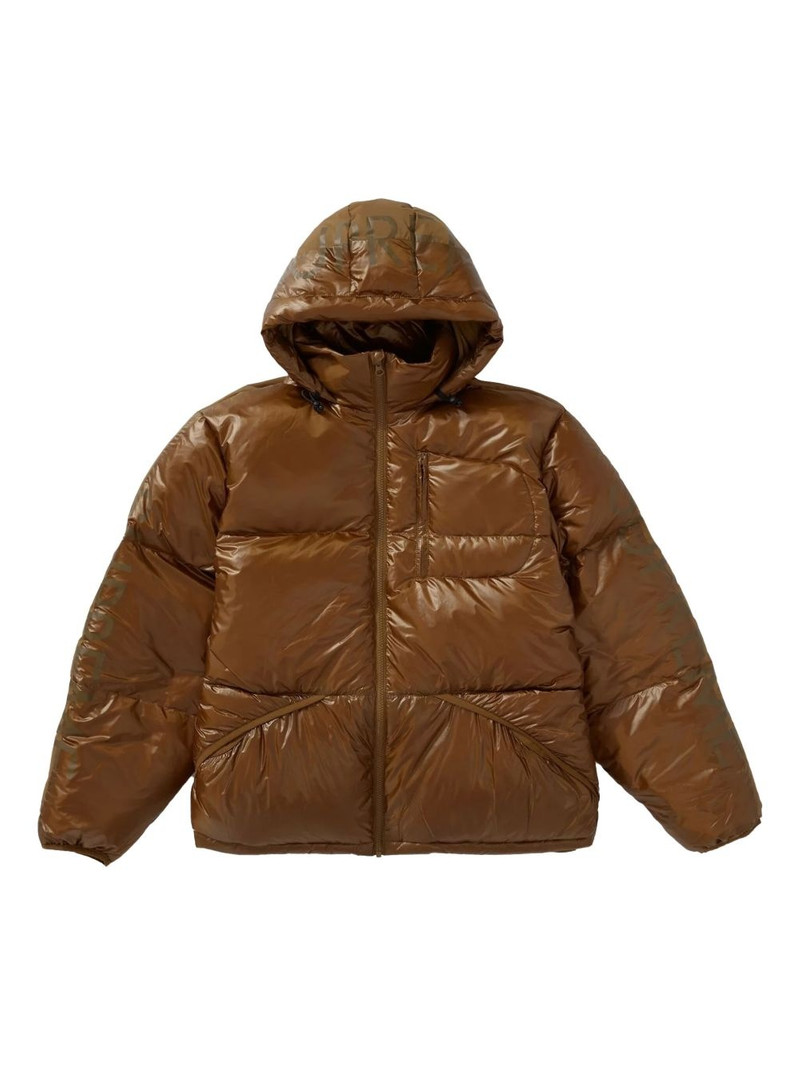 hooded down jacket 1