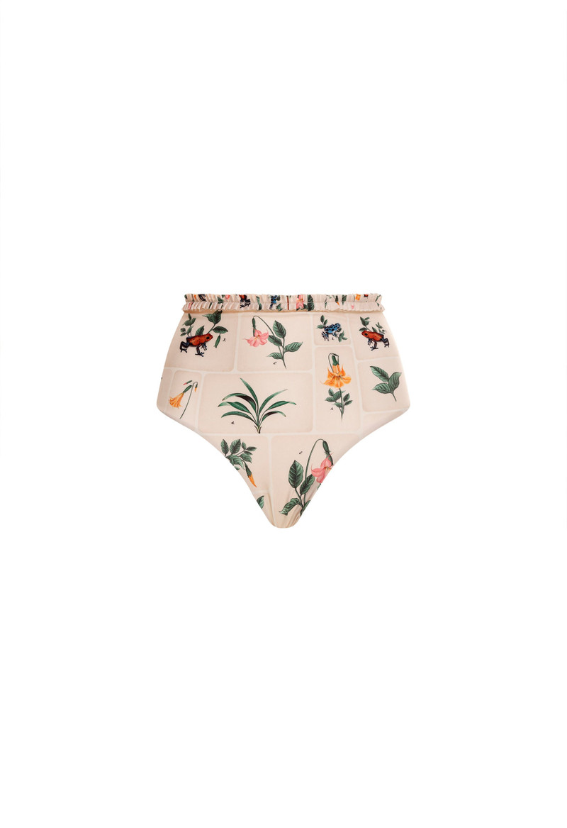 Nopal Ranas Bikini Bottom 1